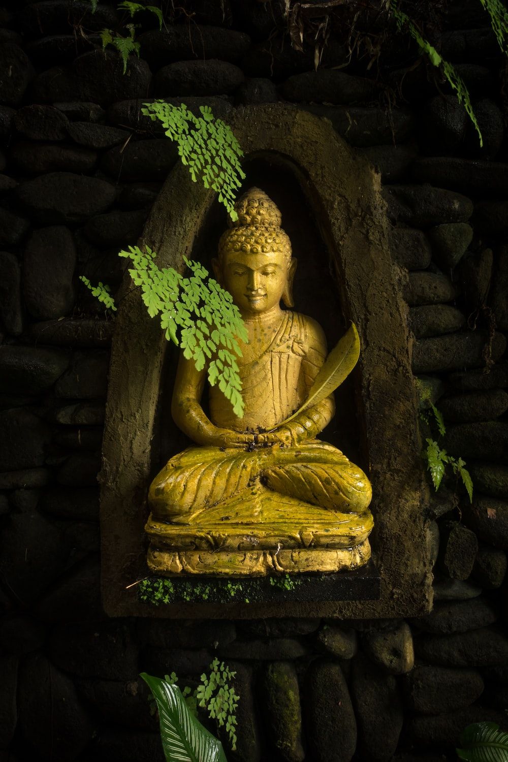  Buddha Hintergrundbild 1000x1500. Buddha Wallpaper: Kostenloser HD Download [HQ]