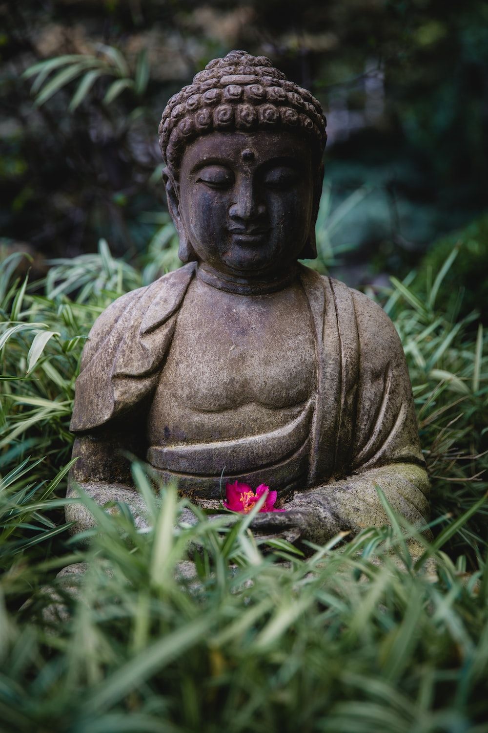  Buddha Hintergrundbild 1000x1500. Buddha Bilder & Bilder [HQ]. Laden Sie kostenlose Fotos auf herunter