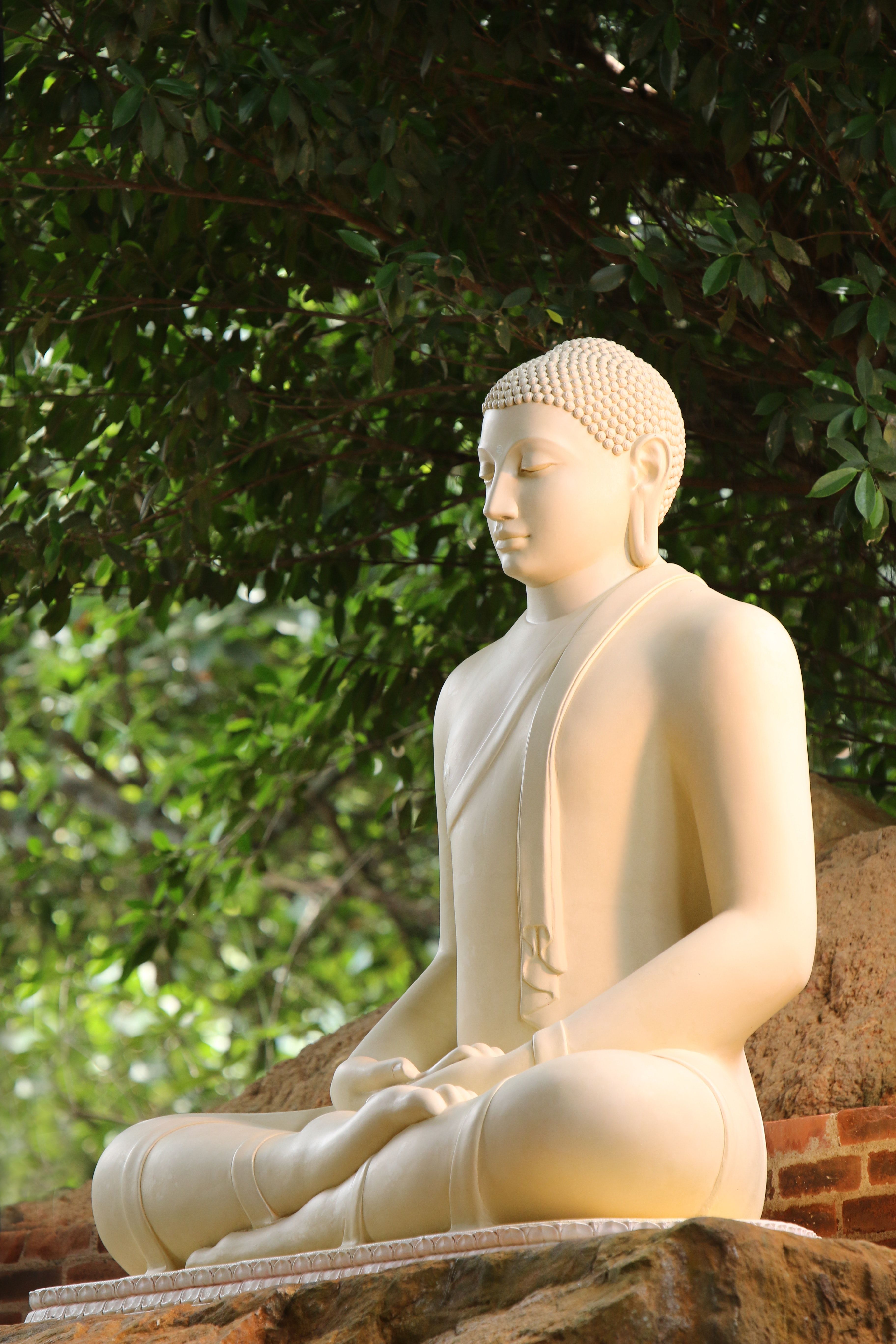  Buddha Hintergrundbild 3648x5472. 2.Buddha Bilder Und Fotos · Kostenlos Downloaden · Stock Fotos