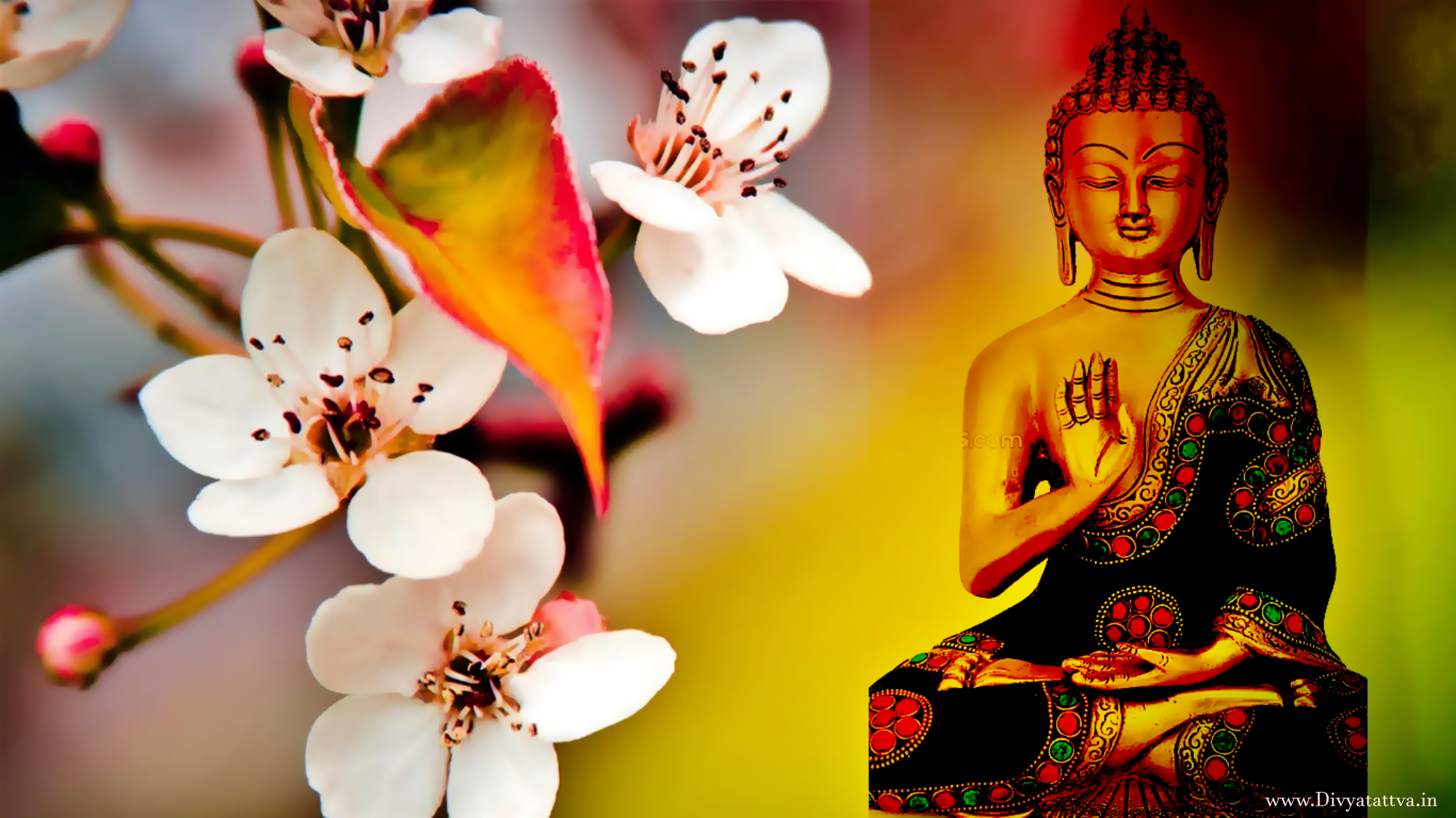  Buddha Hintergrundbild 2000x1124. Gautam Buddha 4K UHD Wallpaper Buddhism Picture for Beautiful Background
