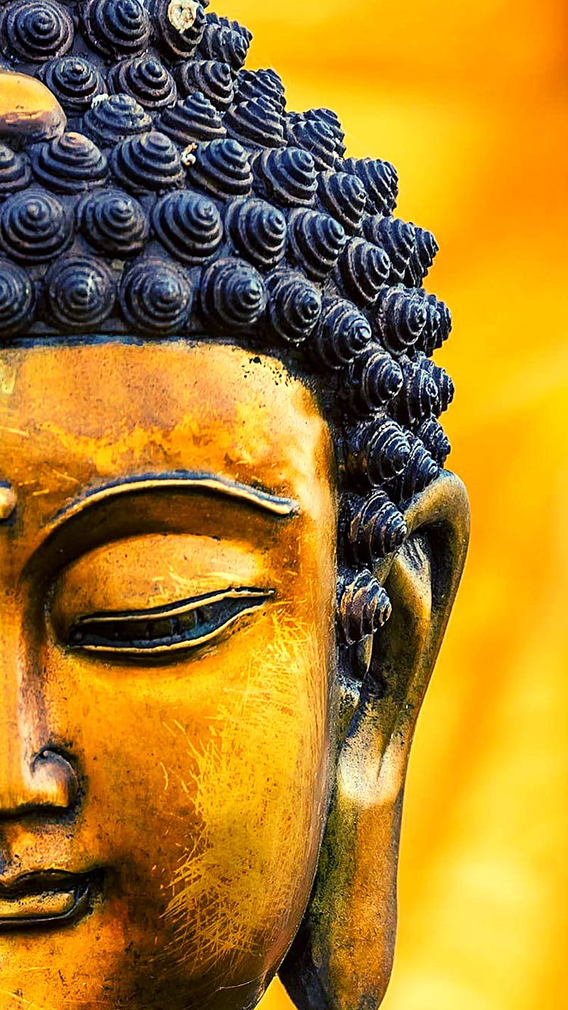  Buddha Hintergrundbild 800x1422. Buddha, buddha purnima, head, HD phone wallpaper