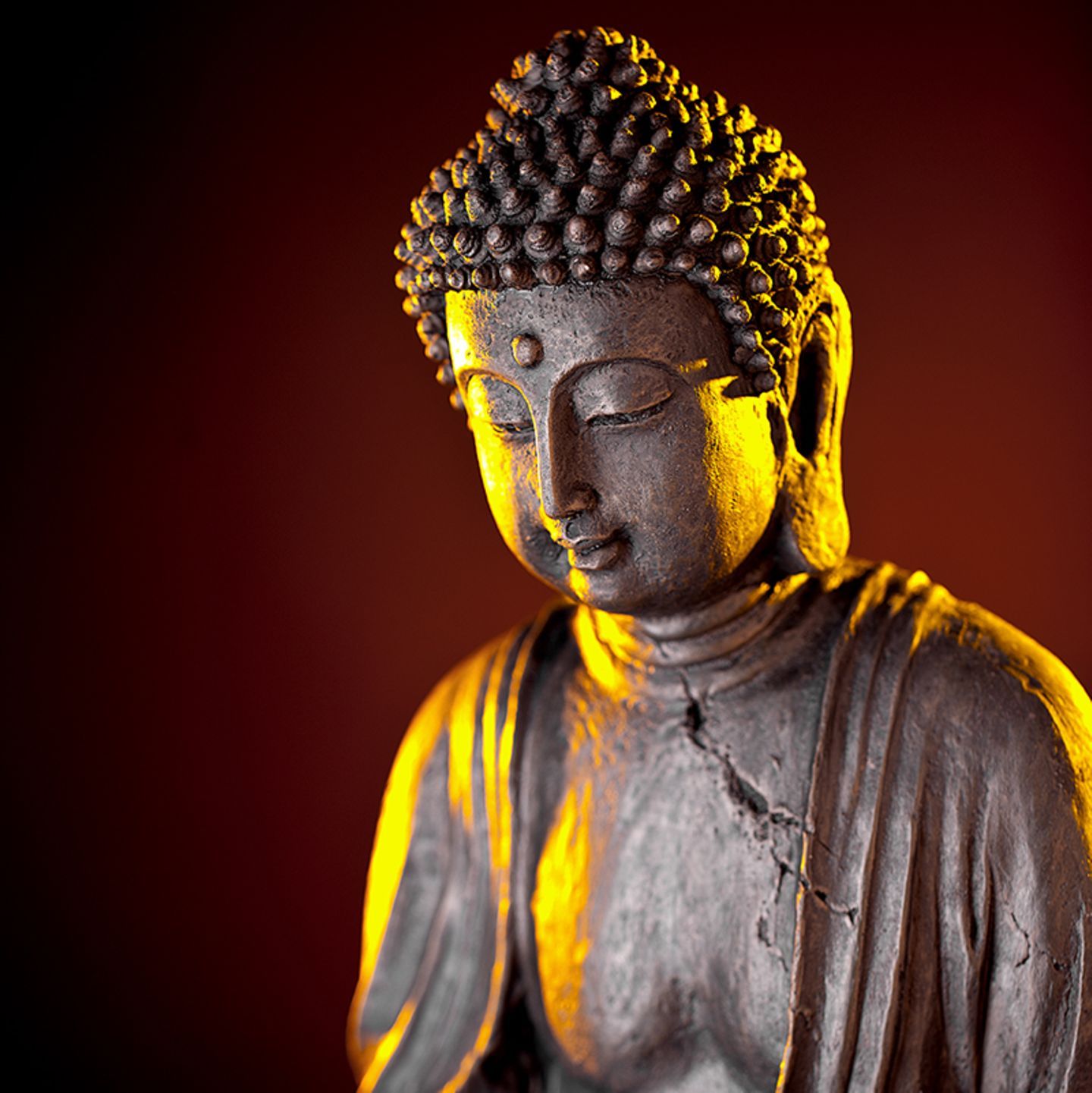  Buddha Hintergrundbild 1440x1441. Buddha Zitate: Wurzeln der Weisheit - [GEOLINO]