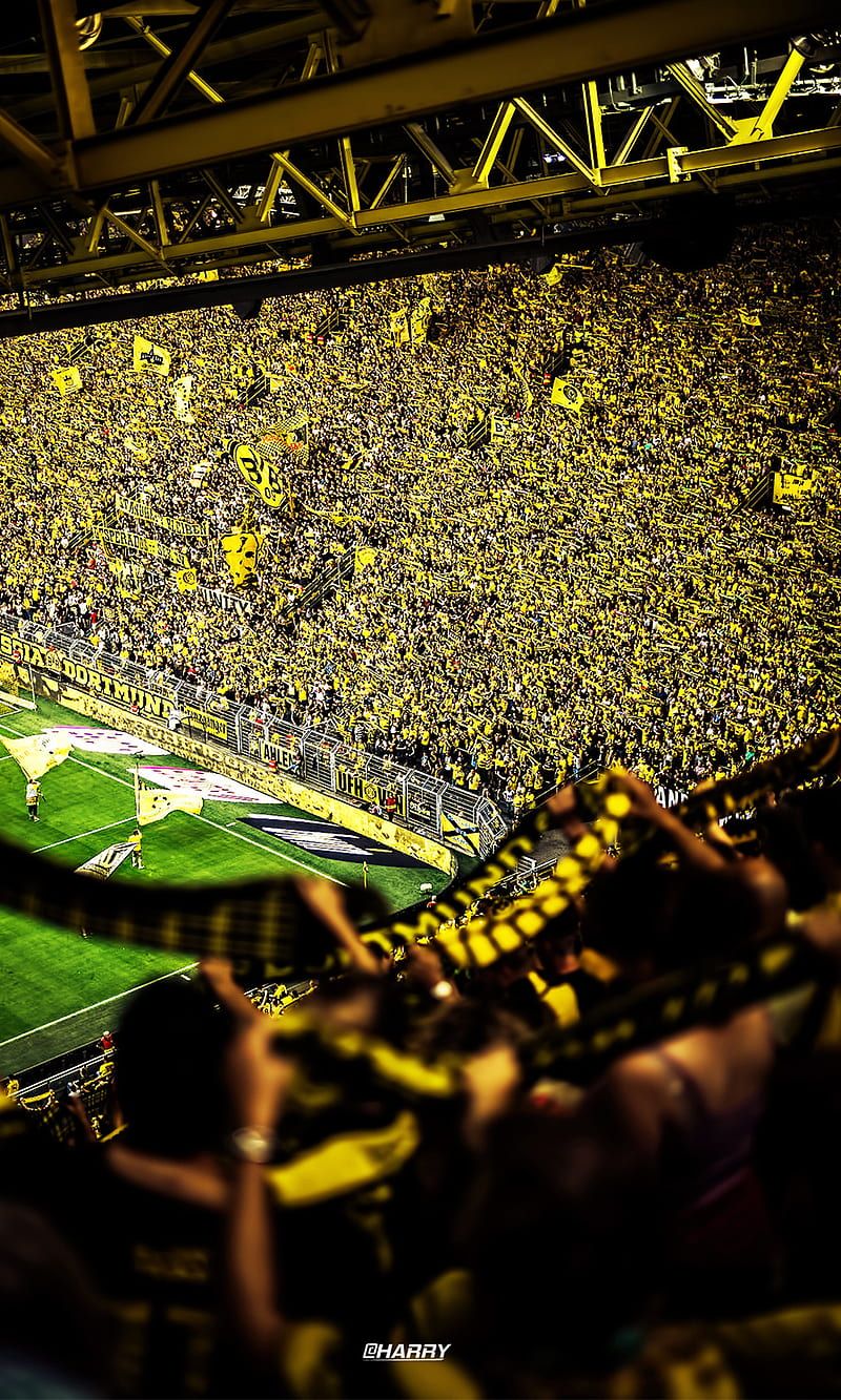 BVB HD Hintergrundbild 800x1333. Borussia Dortmund, bundesliga, german, germany, westfalenstadion, HD phone wallpaper