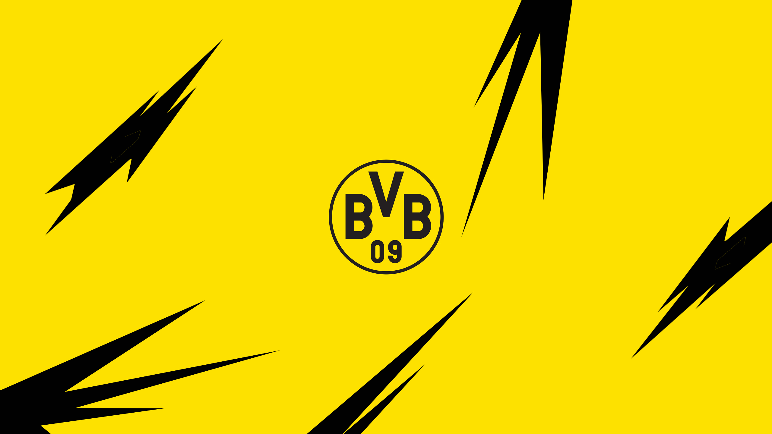  BVB HD Hintergrundbild 2560x1440. Borussia Dortmund HD Wallpaper