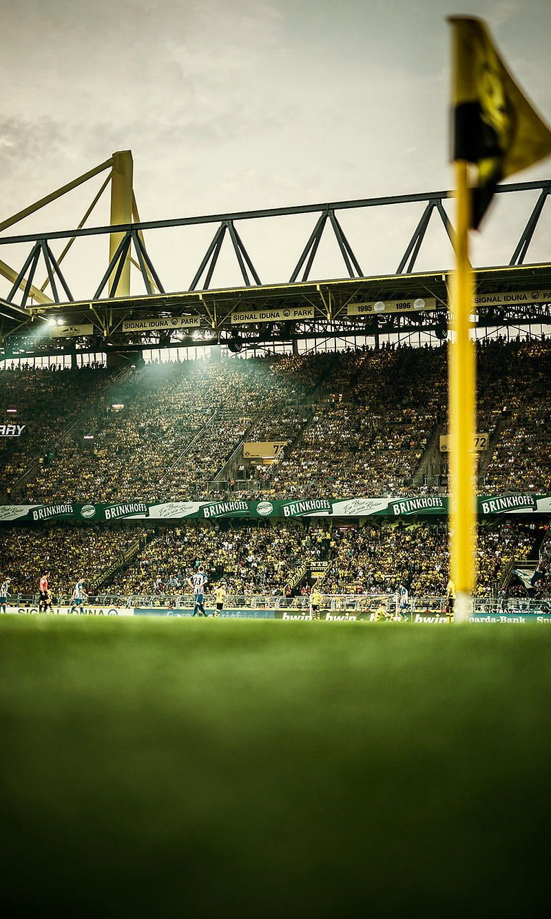  BVB HD Hintergrundbild 800x1333. Borussia Dortmund, bundesliga, german, germany, westfalenstadion, HD phone wallpaper