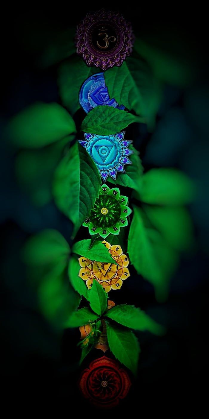  Chakra Hintergrundbild 700x1400. Chakras (1080x2160). Zen wallpaper, Attractive wallpaper, Wallpaper nature flowers