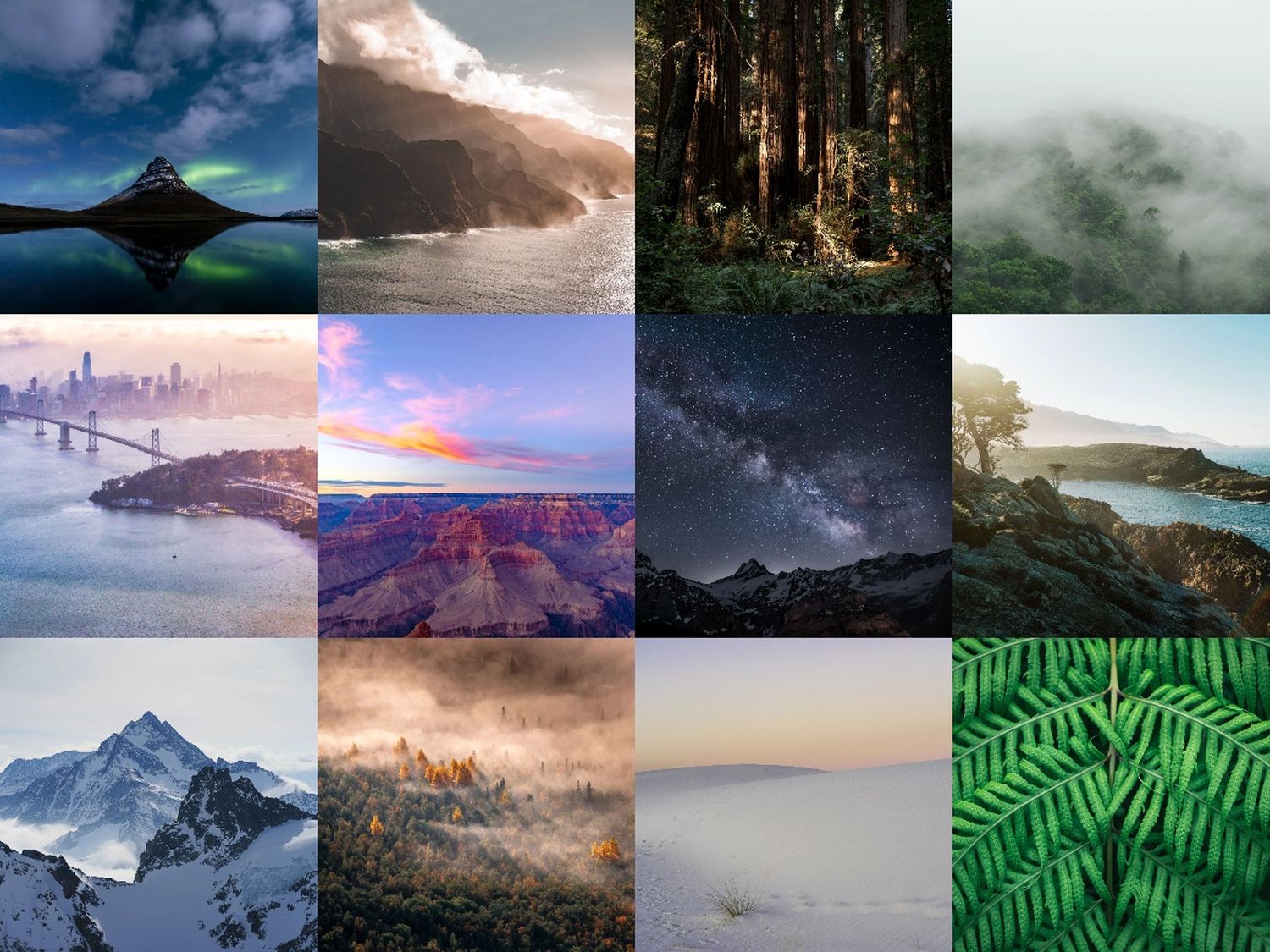  Dynamische Hintergrundbild 1500x1125. Pixel 7 Wallpaper: Hier Bekommt Ihr Die Zwölf Neuen Natur Hintergrundbilder Zum Download (Galerie)