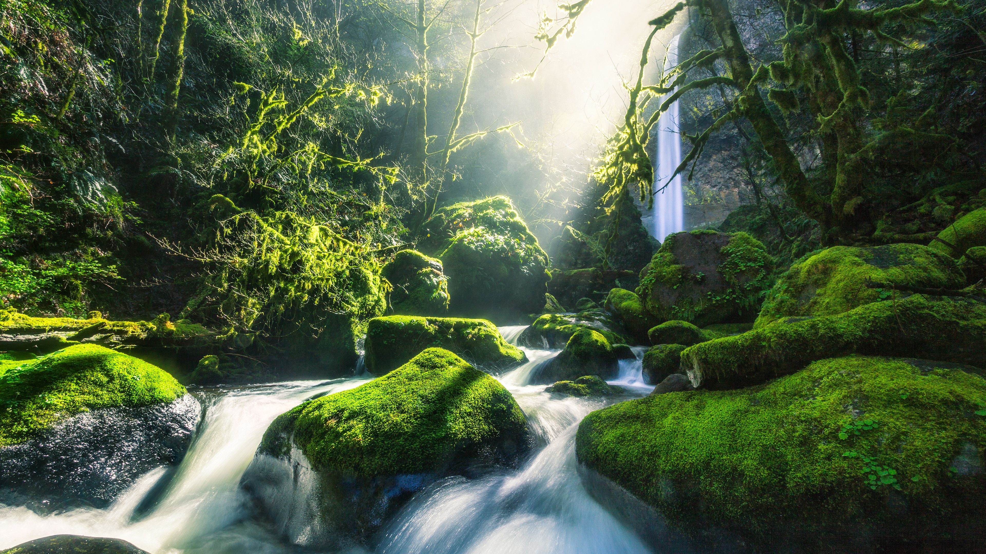 Gute Hintergrundbild 3840x2160. Kostenlose Hintergrundbilder Alles Gute Zum Geburtstag Wasserfall, Multnomah Falls, Columbia River, Wasserfall, Wasser, Bilder Für Ihren Desktop Und Fotos