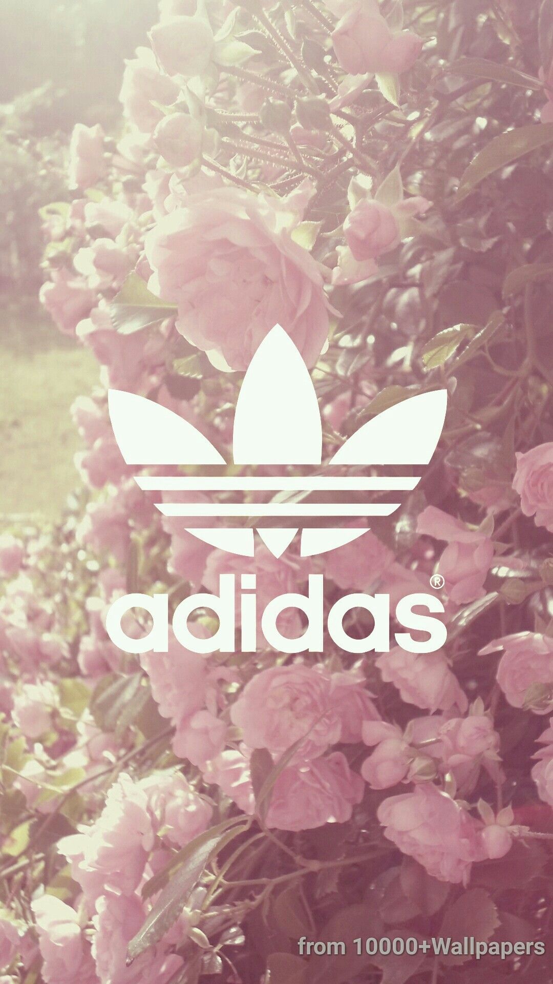 Coole Adidas Hintergrundbild 1080x1920. Adidas, fleurs, violine