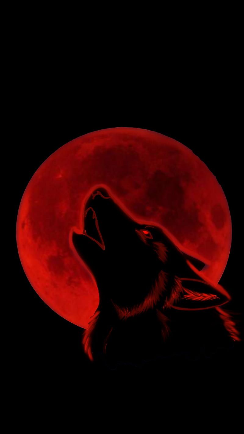 HD Hintergrundbild 800x1422. Wolf, Stein, Mond, Deutschland, HD wallpaper