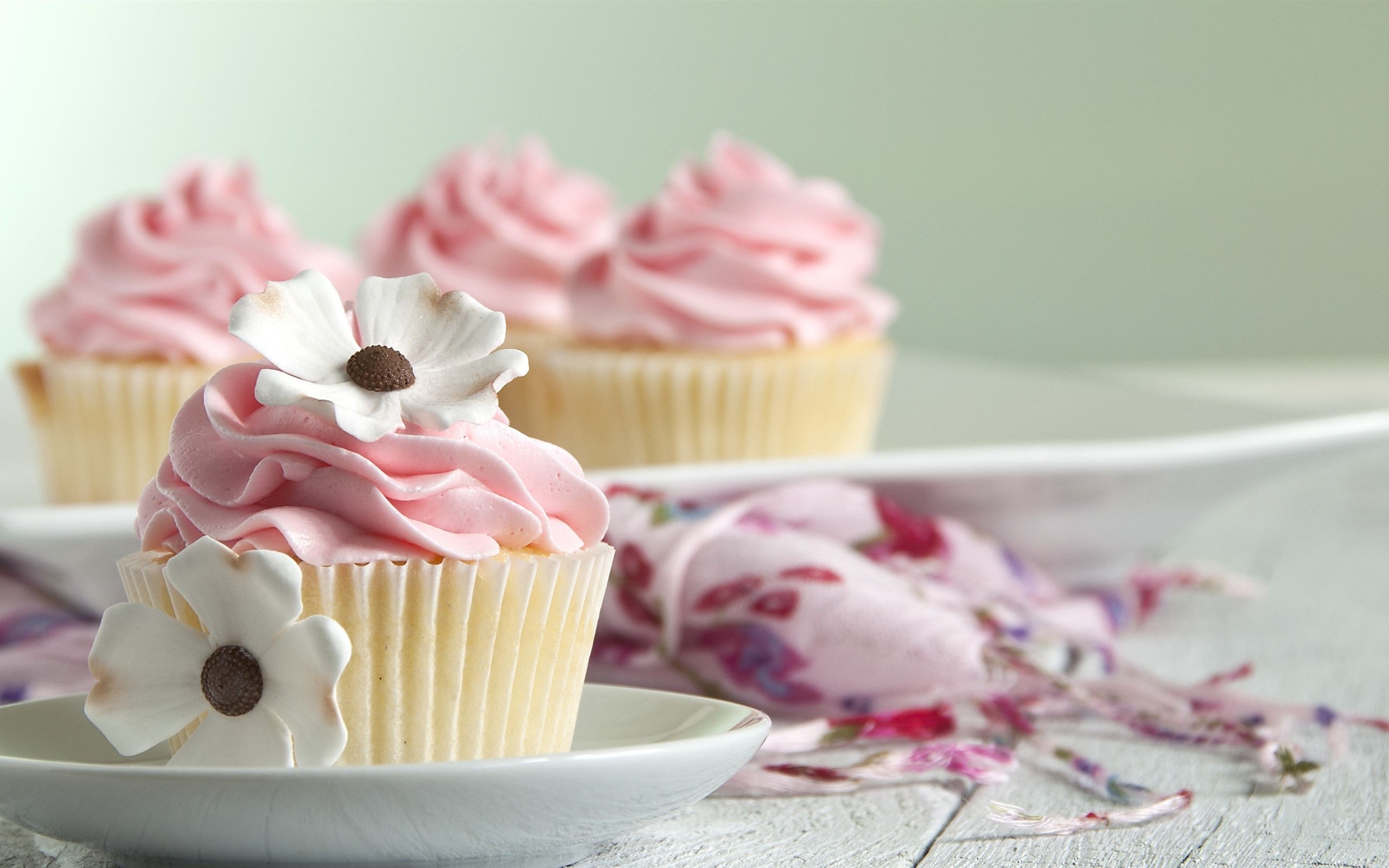 Creme Hintergrundbild 2560x1600. Cupcakes, weiße Blume, rosa Creme 2560x1600 HD Hintergrundbilder, HD, Bild
