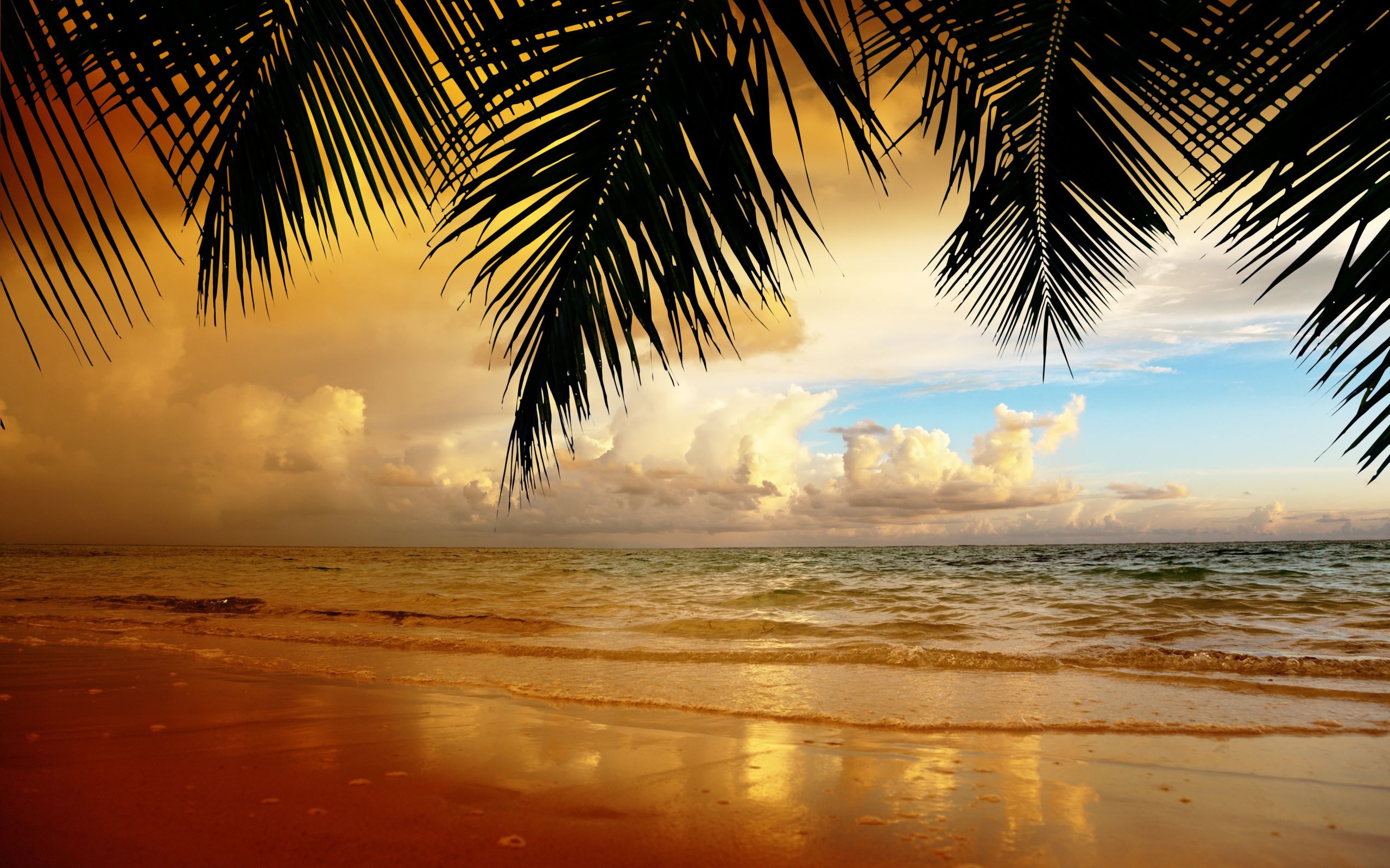  Strand Hintergrundbild 2560x1600. Strand Hintergrundbilder für den Desktop, kostenlose Strand Bilder und Hintergründe für PC herunterladen