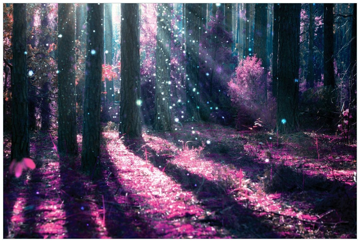  Lichter Hintergrundbild 1222x822. Wandbild aus Acryl Fantasie im Wald Blumen in der Sonne
