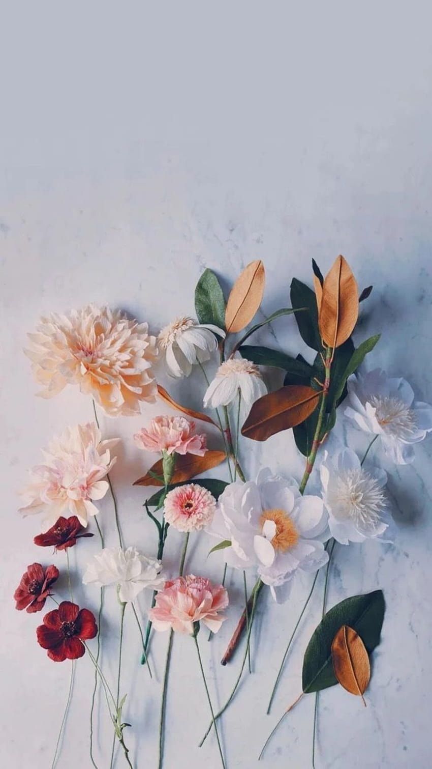  Blumen Hintergrundbild 850x1511. Blumen