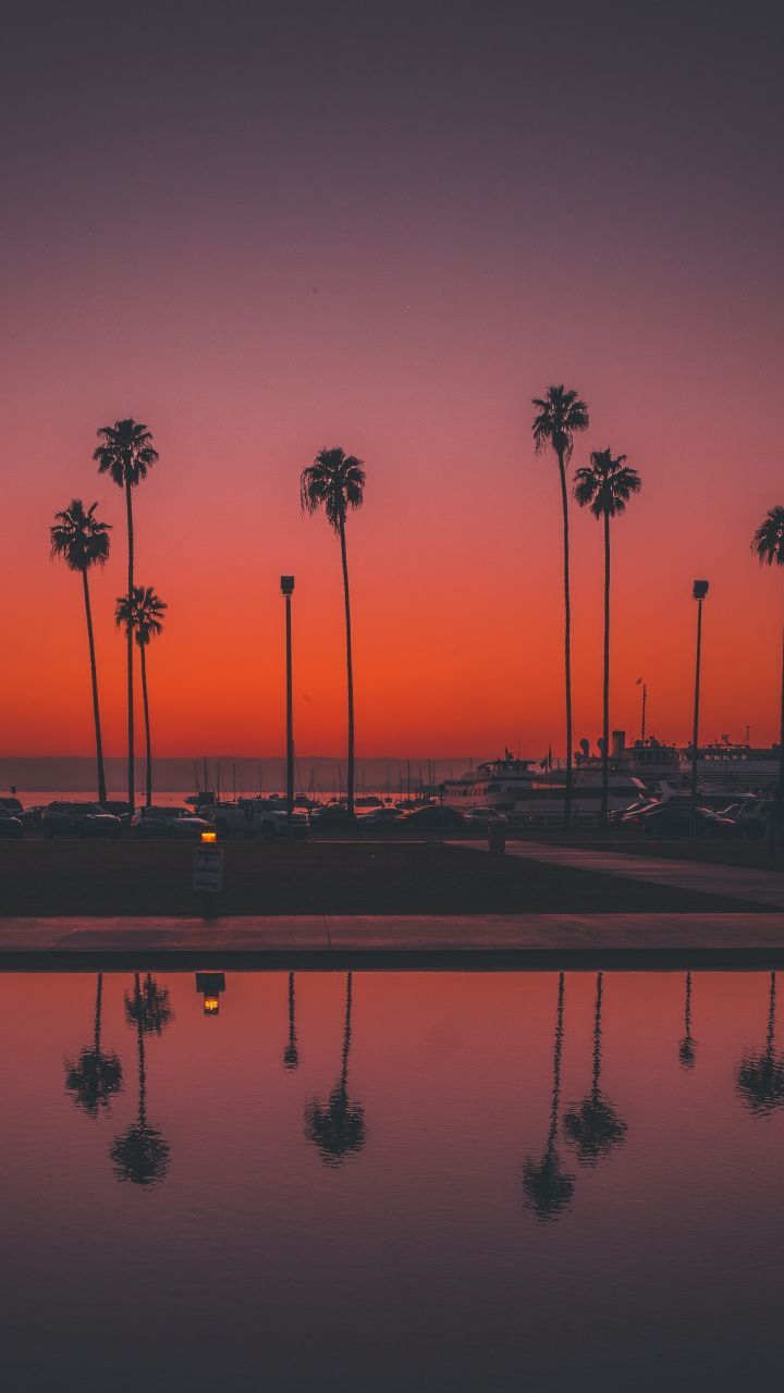  Sonnenaufgang Hintergrundbild 720x1280. Palms, trees, sunset, San Diego, 720x1280 wallpaper. Scenery wallpaper, Sunset wallpaper, Sky aesthetic