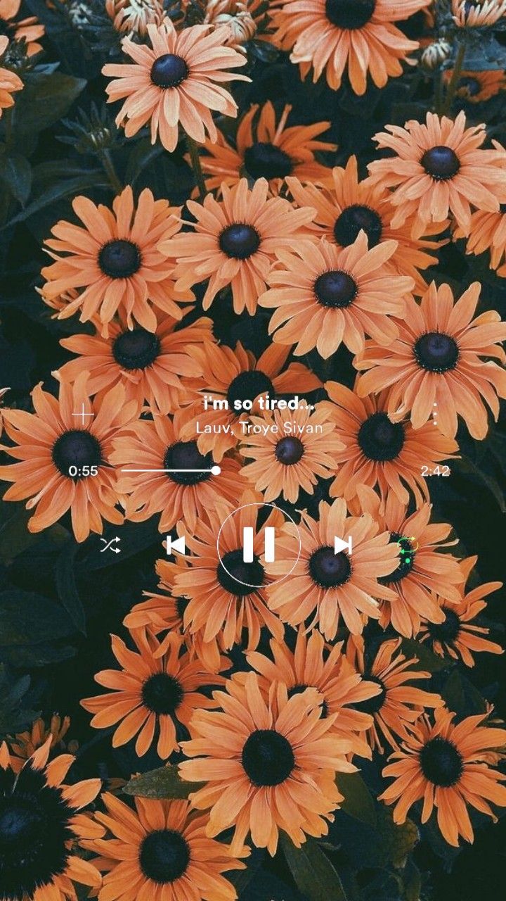  Blumen Hintergrundbild 720x1280. Troye Sivan And Lauv I'm So Tired. Wallpaper✨ #yellow #aesthetic. Flower Iphone Wallpaper, Sunflower Wallpaper, Sunflower Iphone Wallpaper