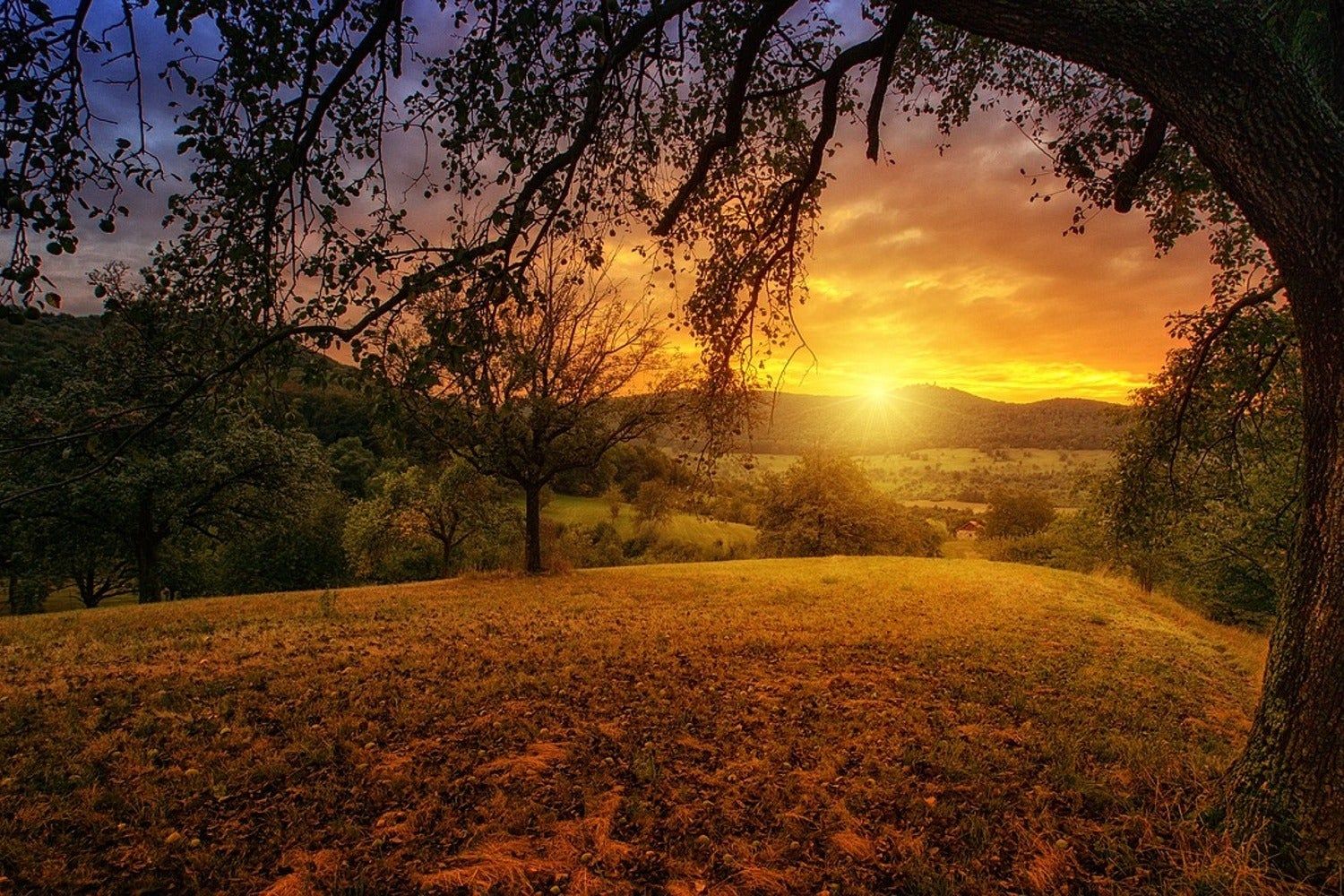  Landschaft Hintergrundbild 1500x1000. Fototapete Eine Landschaft im Sonnenuntergang