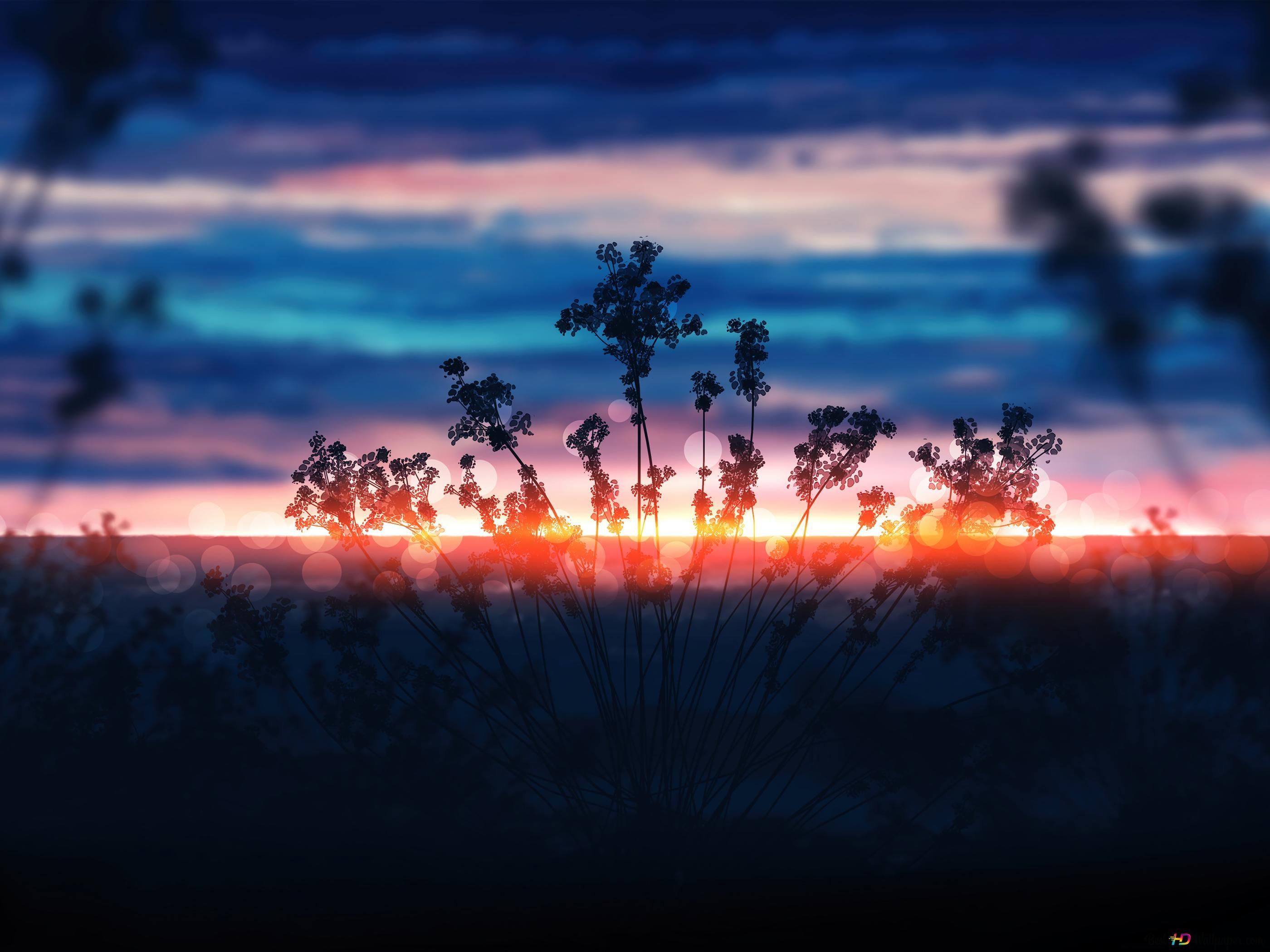  Sonnenaufgang Hintergrundbild 2800x2100. Sonnenaufgang Landschaft Blumenkunst 4K Hintergrundbild herunterladen