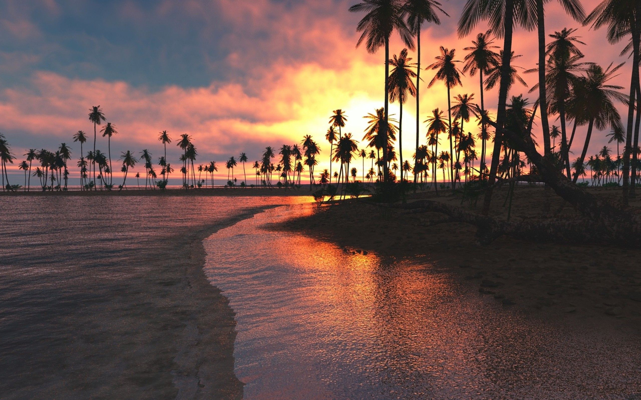 Sonnenaufgang Hintergrundbild 2560x1600. Kostenlose Hintergrundbilder Leute am Strand Bei Sonnenuntergang, Bilder Für Ihren Desktop Und Fotos