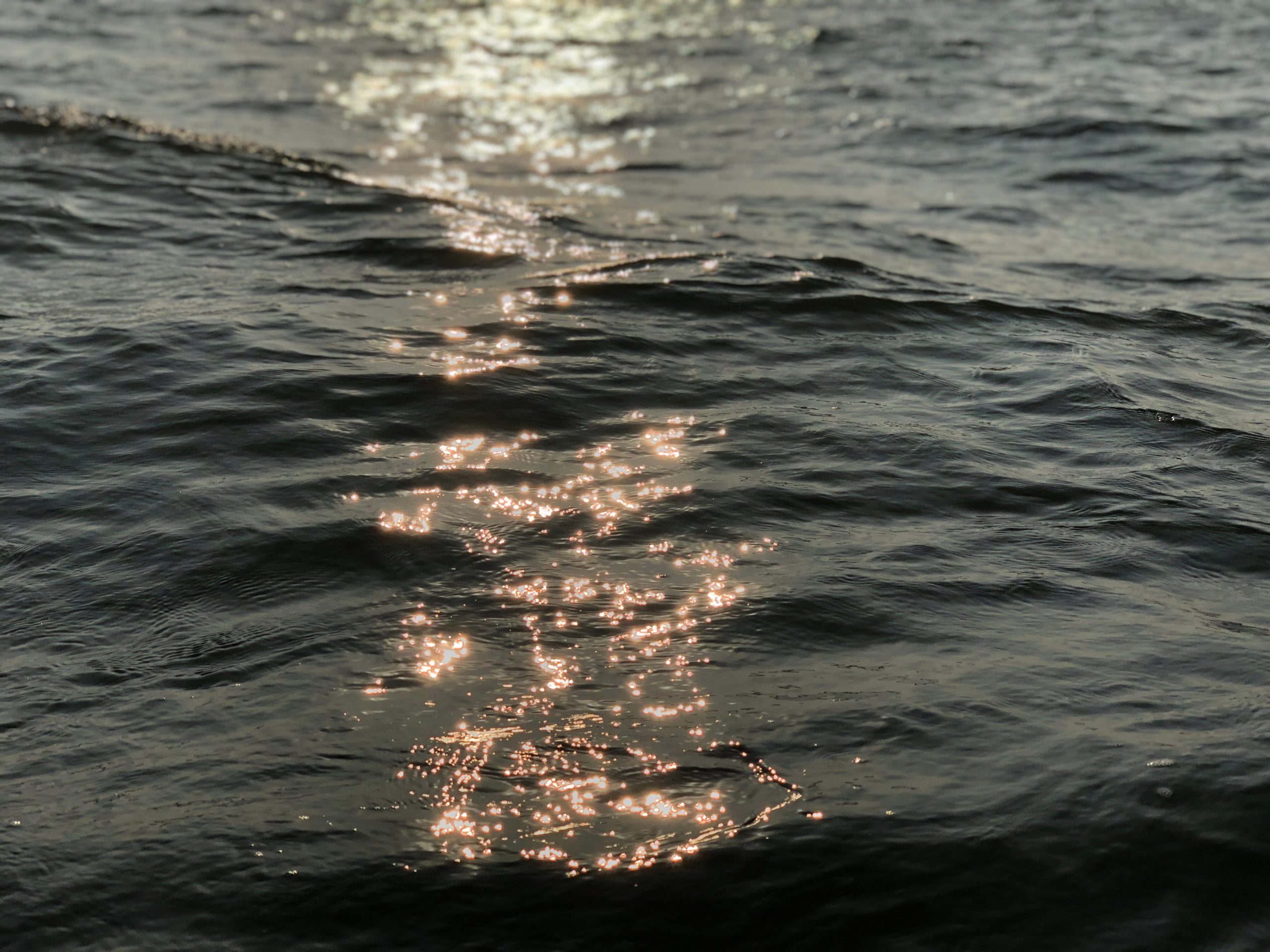  Ozean Hintergrundbild 2560x1920. India Goa Ocean Wallpaper Sun Sea Aesthetic Water No People Waterfront