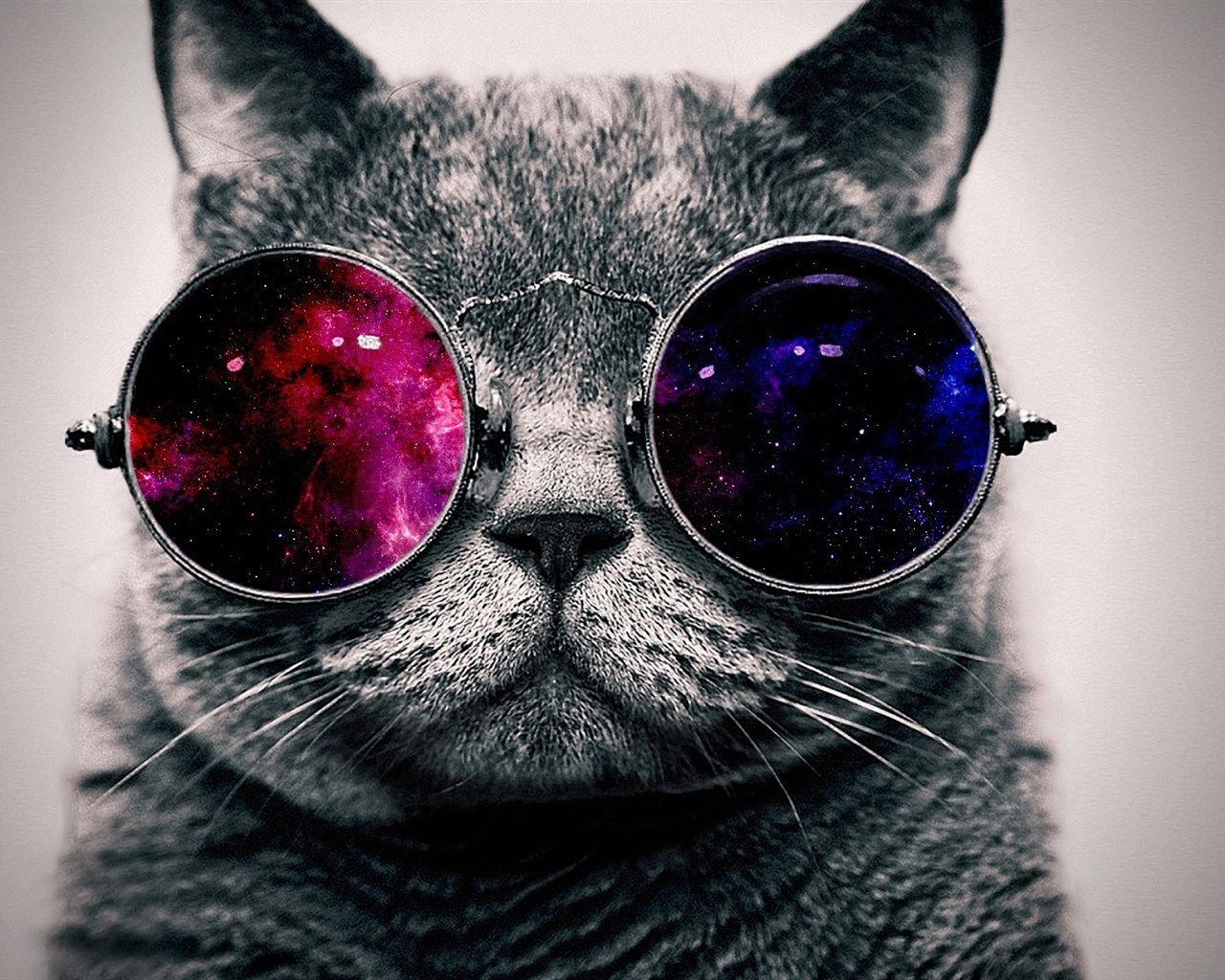  Coolsten Hintergrundbild 1280x1024. Nette Katze mit Sonnenbrille, sehr cool 1920x1200 HD Hintergrundbilder, HD, Bild