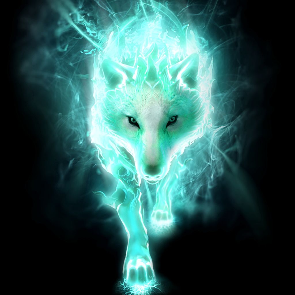  Coolsten Hintergrundbild 1024x1024. Fotos Castlevania: Lords of Shadow Wolf Spiele Magische Tiere