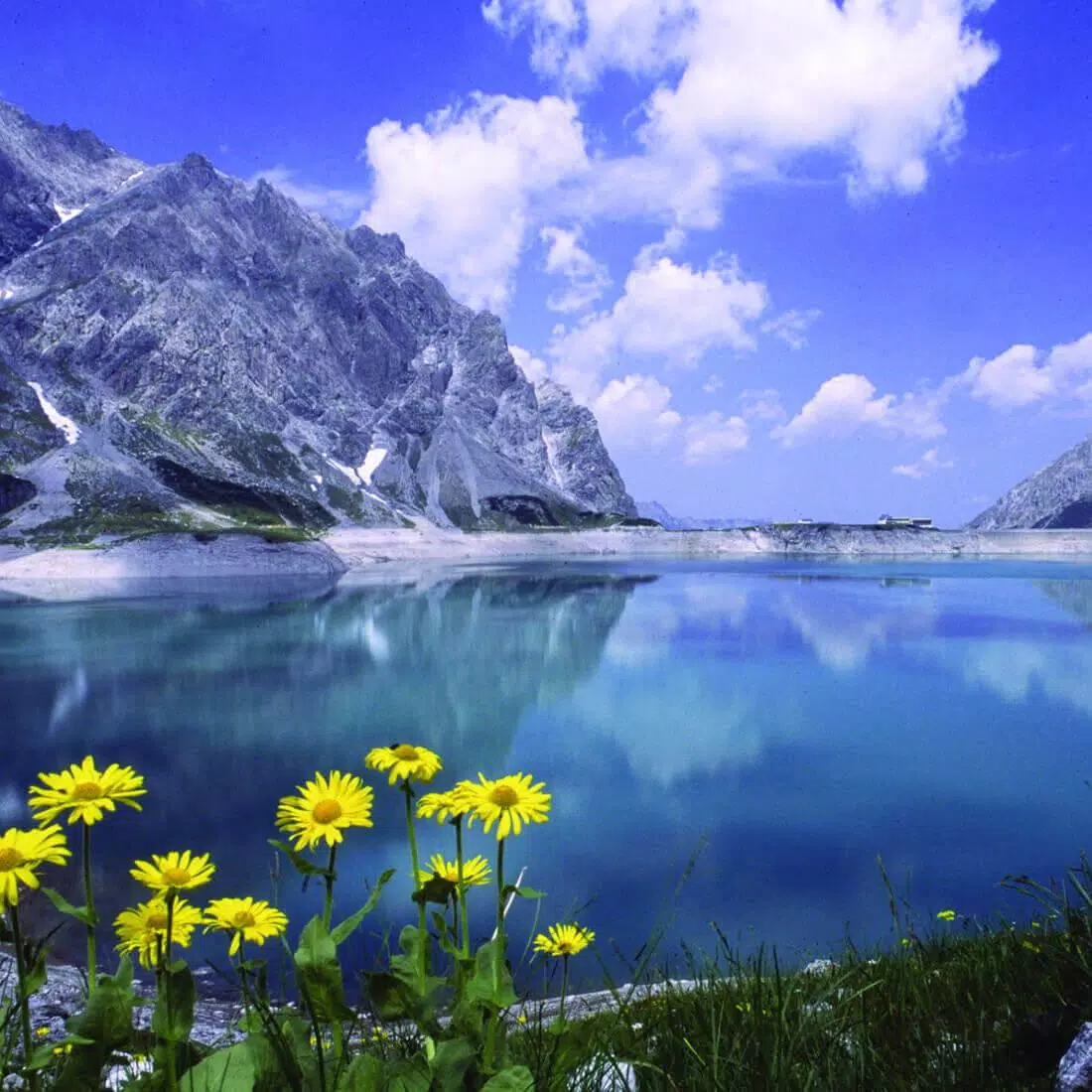  Das Schönste Der Welt Hintergrundbild 1100x1100. Natur Hintergrundbilder APK für Android herunterladen
