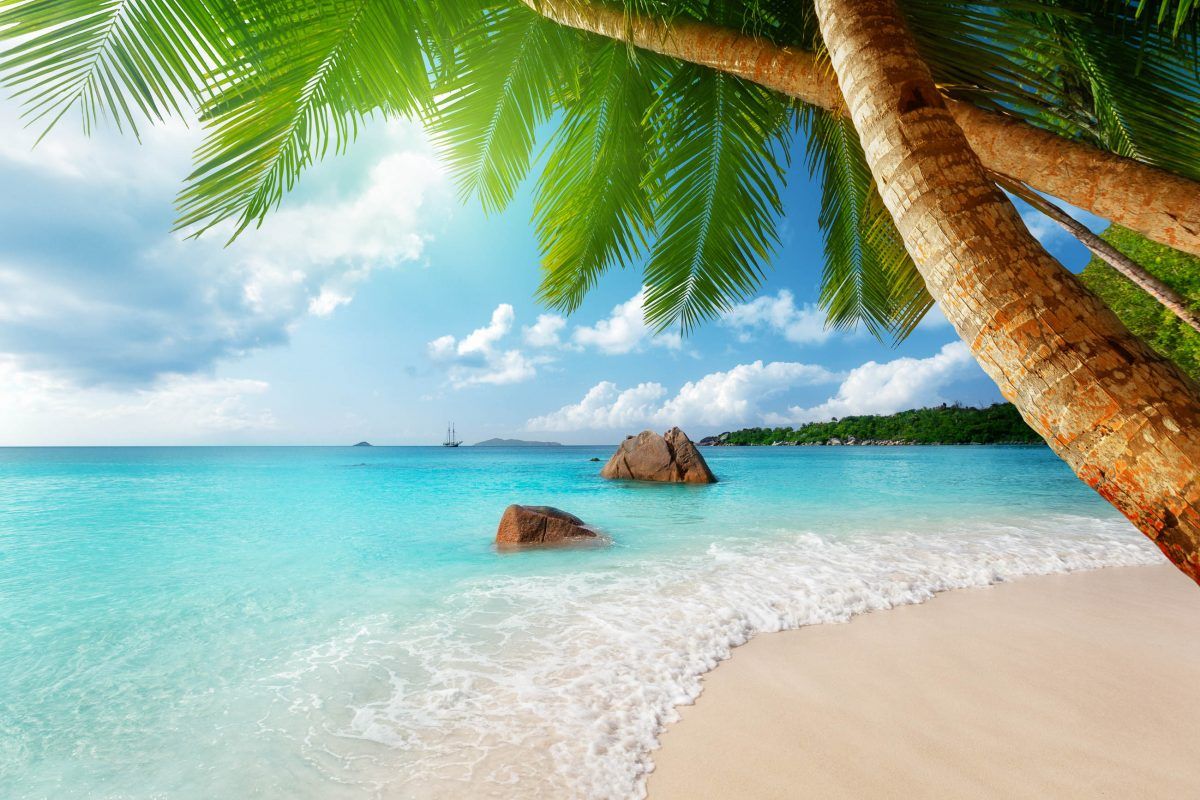  Das Schönste Der Welt Hintergrundbild 1200x800. BILDER: Die schönsten Strände der Seychellen