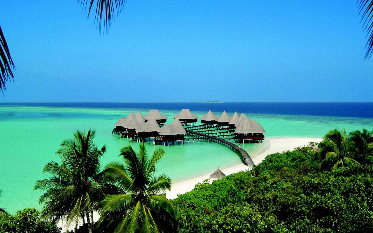  Das Schönste Der Welt Hintergrundbild 1440x900. Coco Palm und Strand Hintergrundbilder. Coco Palm und Strand frei fotos