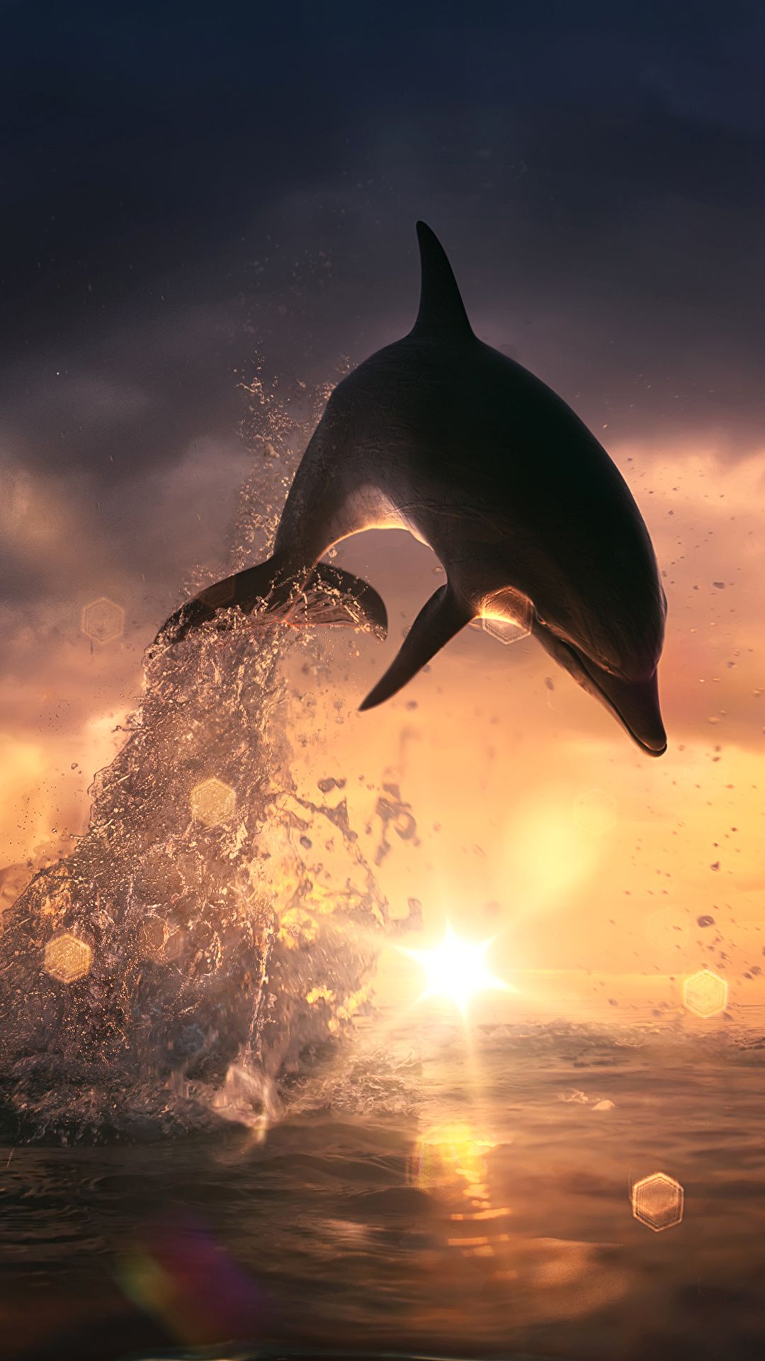  Delfine Hintergrundbild 1080x1920. Foto Delfine Sprung spritzwasser Abend ein Tier 1080x1920