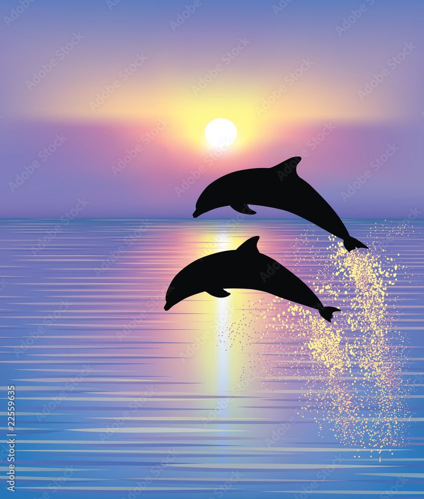  Delfine Hintergrundbild 849x1000. Foto auf Leinwand Delphine.-Art.de