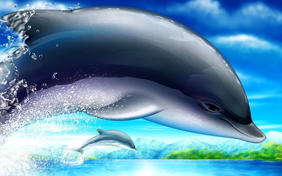  Delfine Hintergrundbild 1200x750. Hintergrundbilder PC Delfin