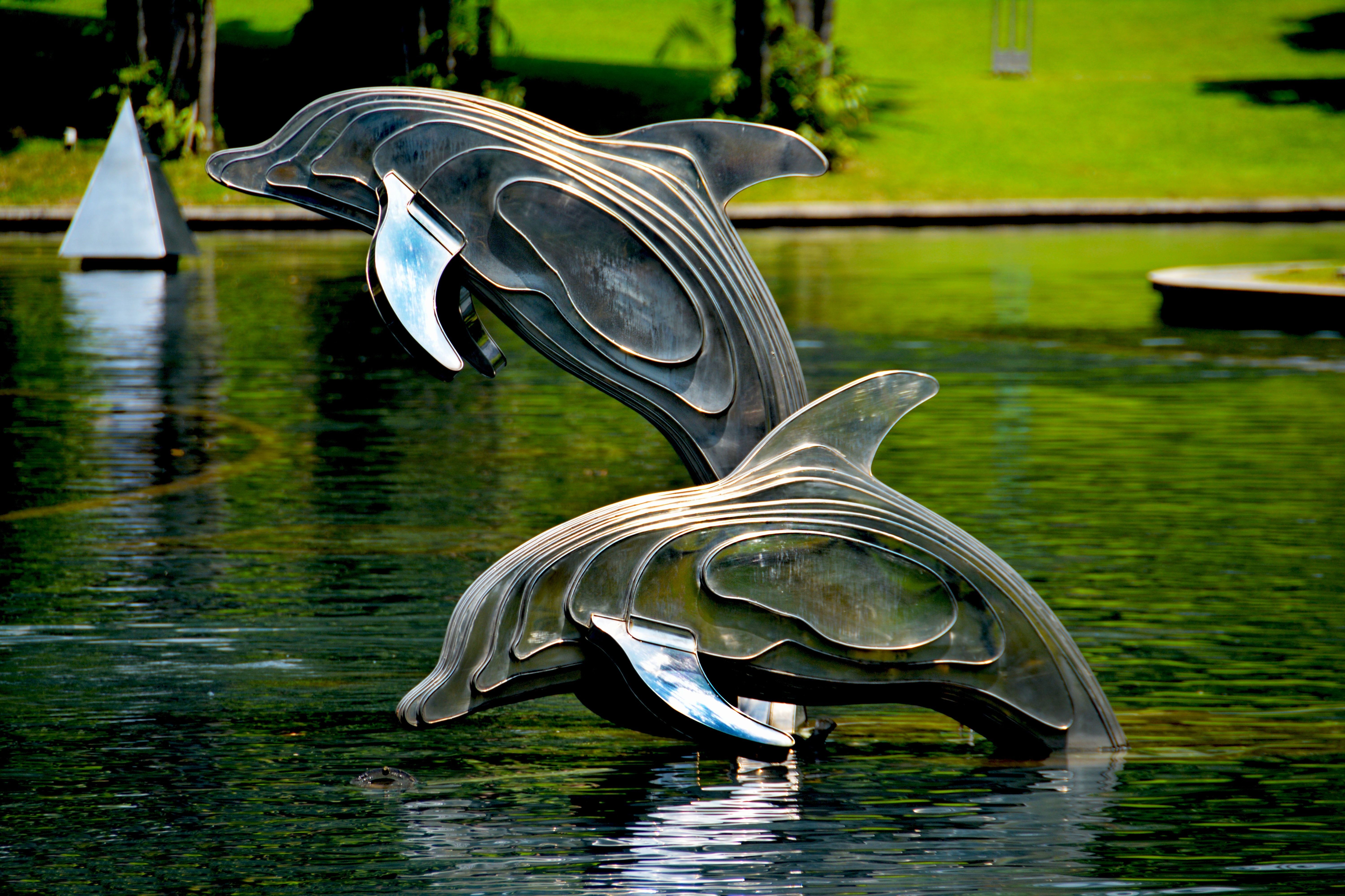  Delfine Hintergrundbild 6000x4000. Delfine Bilder Und Fotos · Kostenlos Downloaden · Stock Fotos