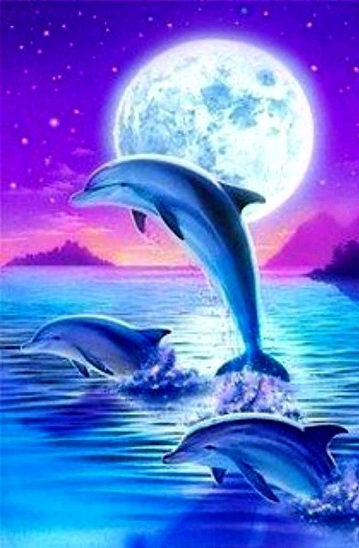  Delfine Hintergrundbild 720x1100. Drachen Ideen. Drachen, Niedliche Tierzeichnungen, Tiere Zeichnen