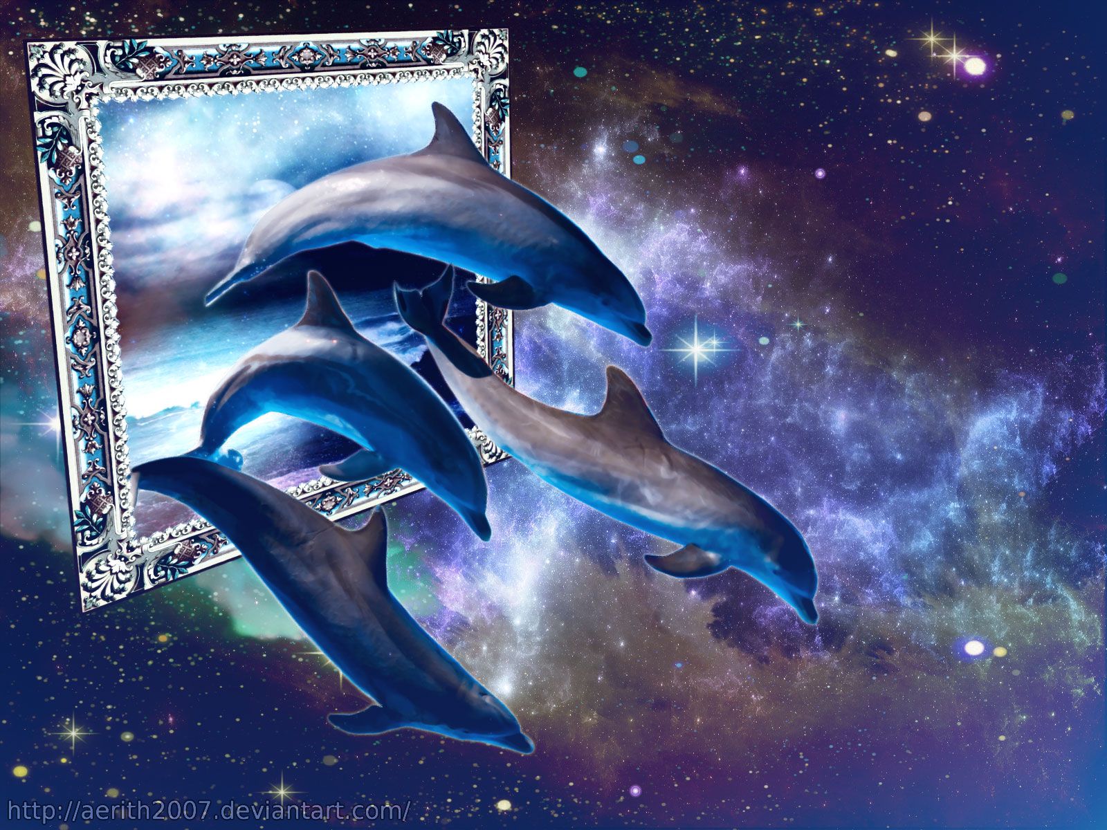  Delfine Hintergrundbild 1600x1200. Delfin HD Wallpaper und Hintergründe