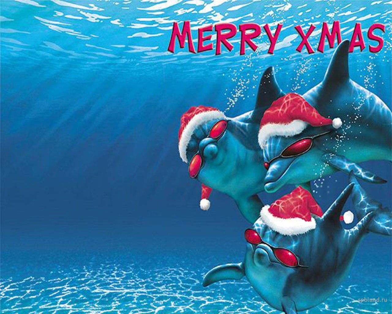 Delfine Hintergrundbild 1280x1024. Hintergrundbild für Handys: Delfine, Weihnachten, Feiertage, Sea, Neujahr, Fische, Humor, 14084 Bild kostenlos herunterladen