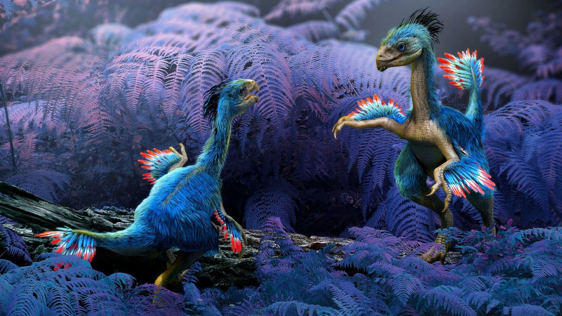  Dino Hintergrundbild 1920x1080. Alte Tiere, Dinosaurier 1920x1080 Full HD 2K Hintergrundbilder, HD, Bild