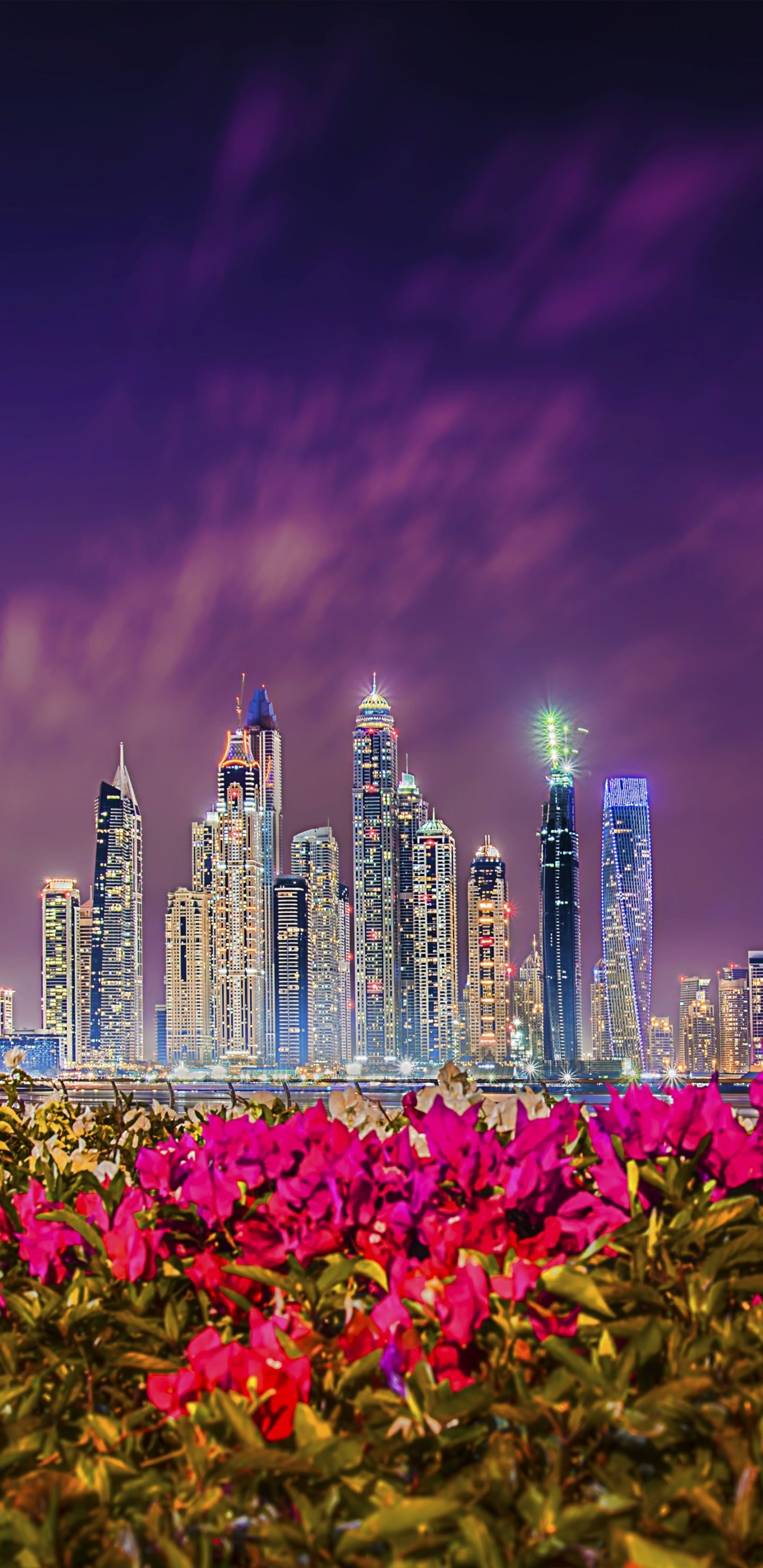  Dubai Hintergrundbild 1440x2960. HD Desktop Wallpaper: Städte, Stadt, Wolkenkratzer, Gebäude, Blume, Dubai, Vereinigte Arabische Emirate, Menschengemacht, Großstadt Kostenloses Bild Herunterladen