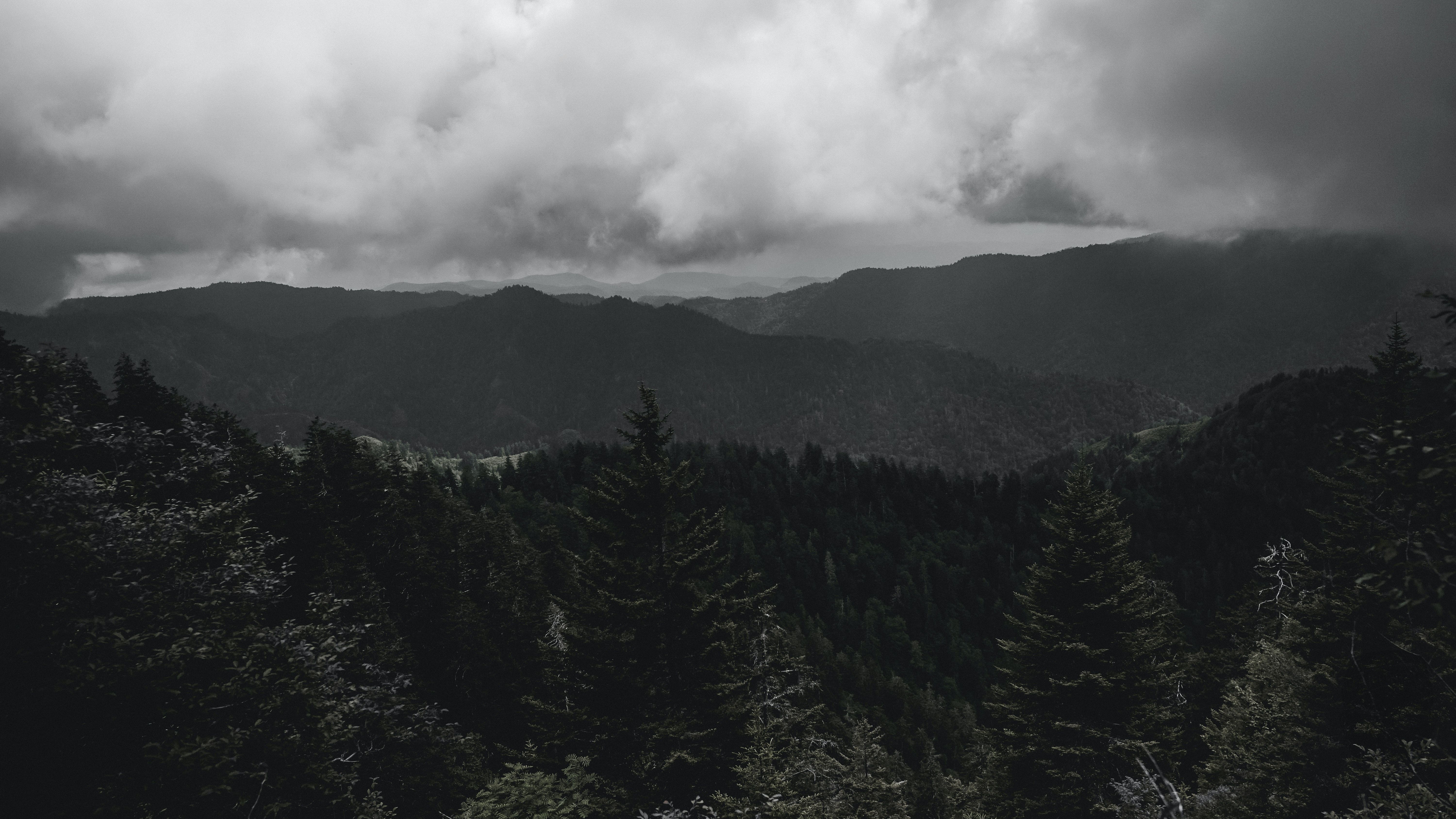  Dunkles Hintergrundbild 6000x3376. Kostenloses Foto zum Thema: 4k wallpaper, bäume, berge, dunkel, hintergrund, holz, natur, nebel, wald