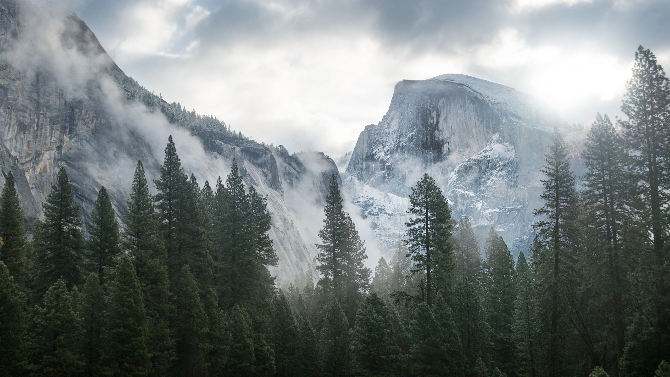 4k Hintergrundbild 2560x1440. Wallpaper Yosemite, 5k, 4k wallpaper, 8k, forest, OSX, apple, mountains, Nature