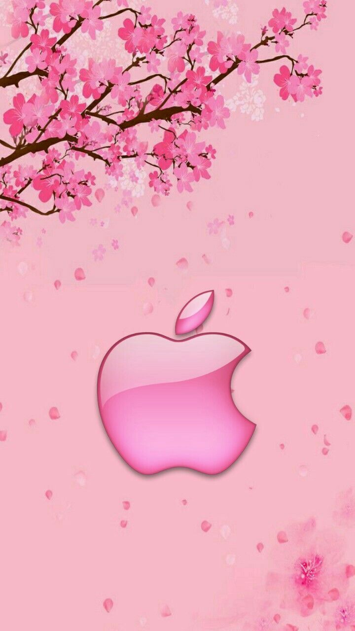 Apple Rosa Hintergrundbild 720x1280. Pin de Yaqoob kamal em Logos. Fundos de tela iphone, para iphone, Papel de parede rosa