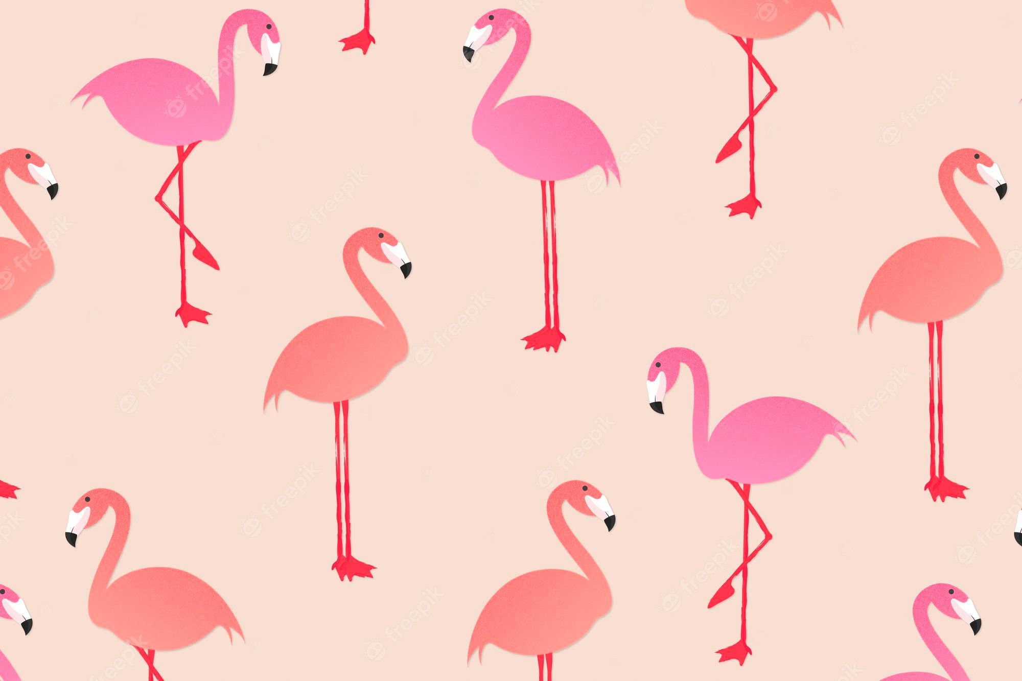  Flamingo Hintergrundbild 2000x1333. Flamingo Wallpaper Vektoren Und Illustrationen Zum Kostenlosen Download