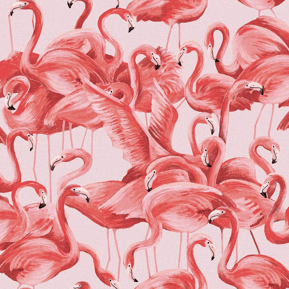  Flamingo Hintergrundbild 1000x1000. Tempaper Flamingo. Designer abnehmbare Schale und Stick Wallpaper Freches Pink 5 x 5 : Amazon.de: Baumarkt