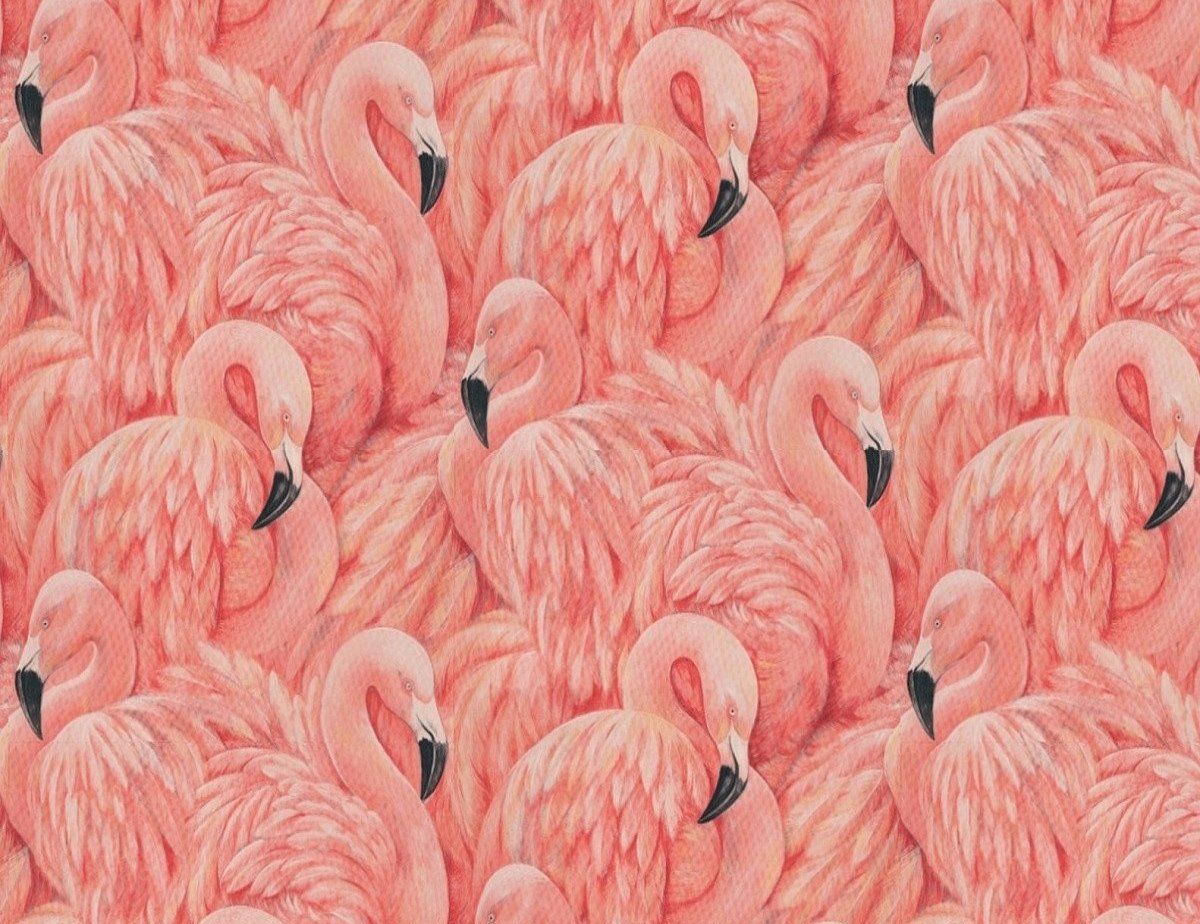  Flamingo Hintergrundbild 1200x924. Large Flamingo Wallpaper. The Alley Exchange Alley Exchange, Inc