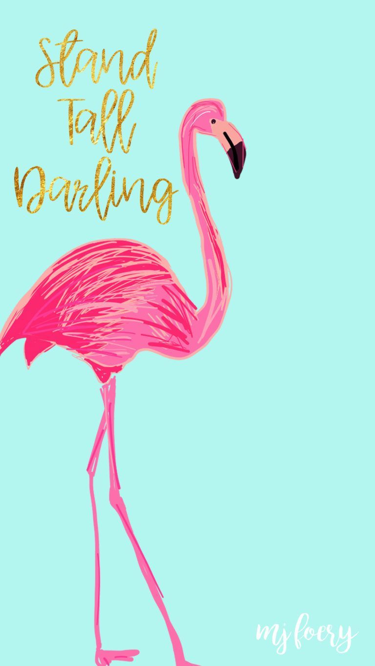 Flamingo Hintergrundbild 768x1365. Flamingo iPhone Wallpaper