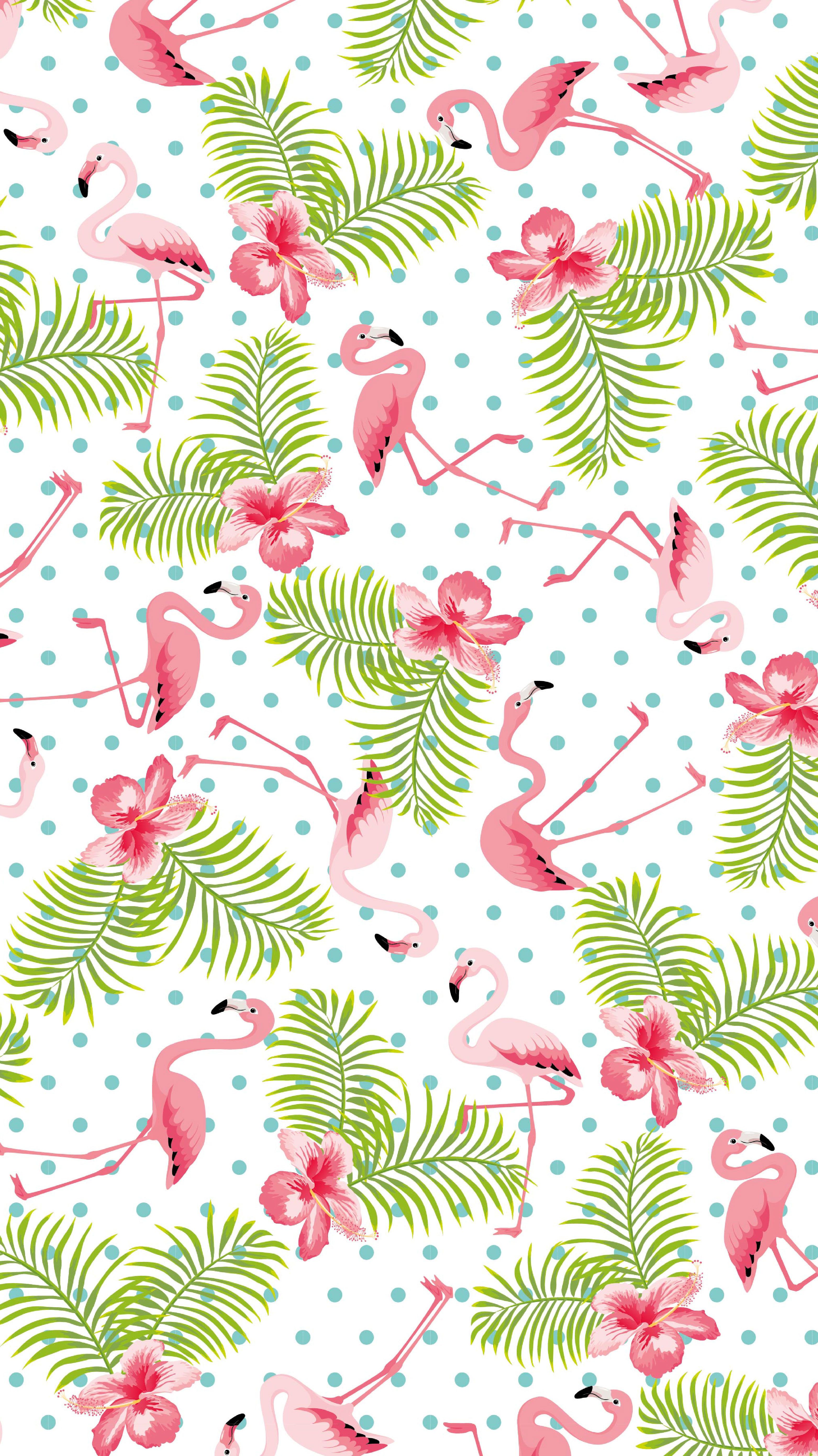  Flamingo Hintergrundbild 3125x5558. Flamingo Handy Wallpaper free download
