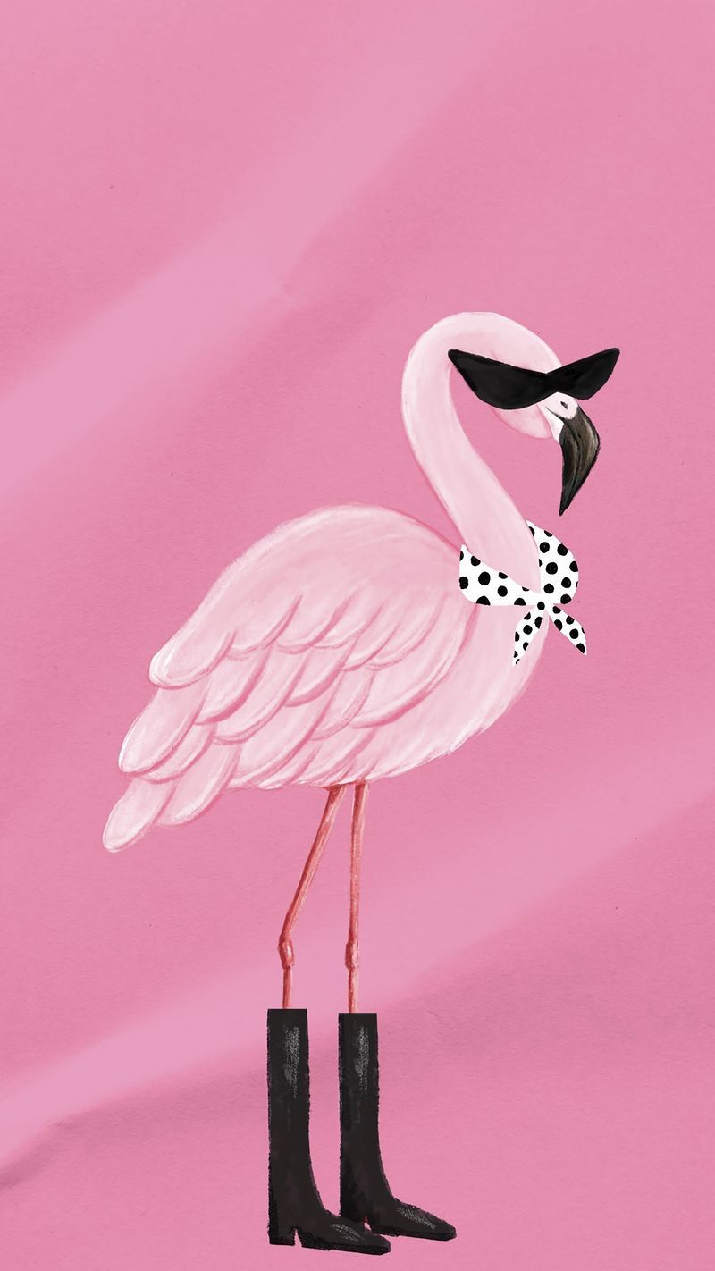  Flamingo Hintergrundbild 800x1422. Flamingo Wallpaper Image Wallpaper
