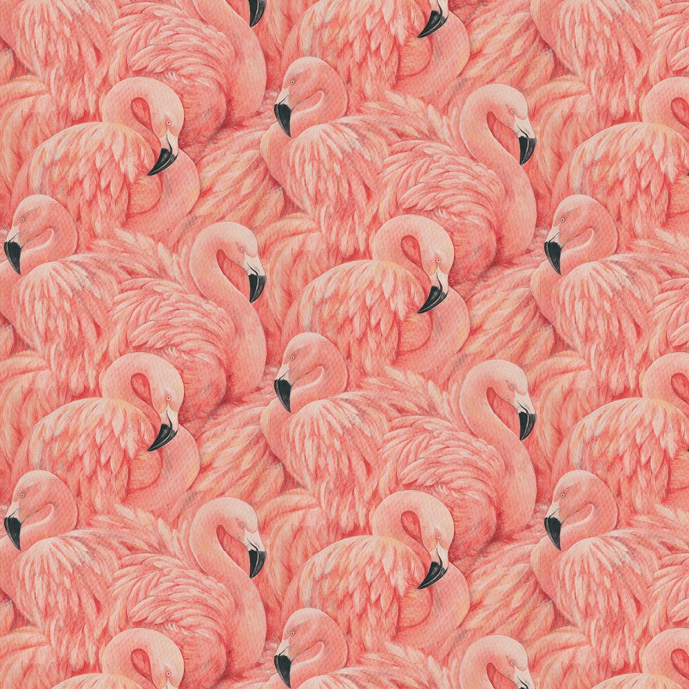  Flamingo Hintergrundbild 1000x1000. Albany Wallpaper Flamingos 10.05m x 0.52m