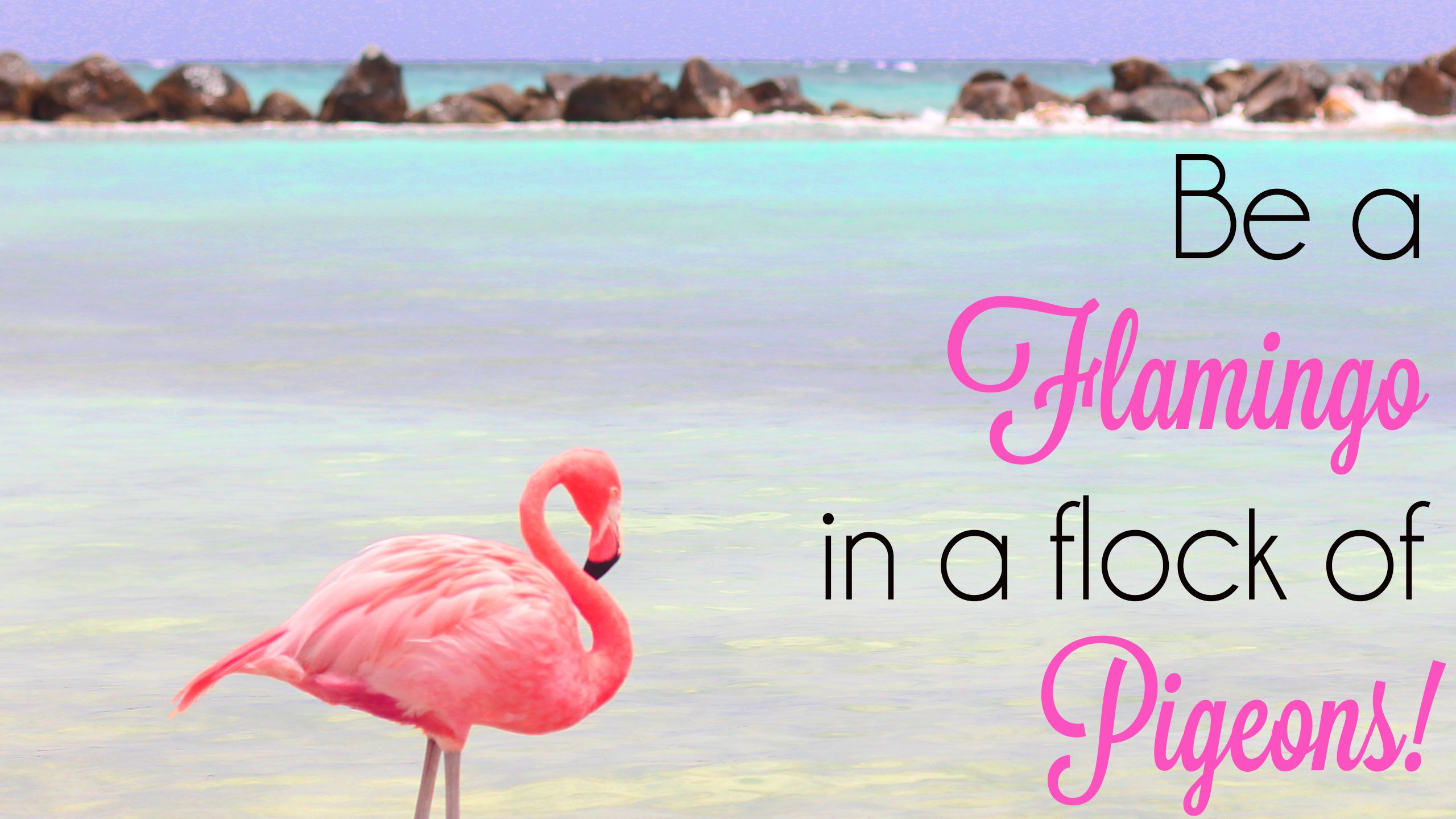  Flamingo Hintergrundbild 2560x1440. Cute Flamingo Desktop Wallpaper
