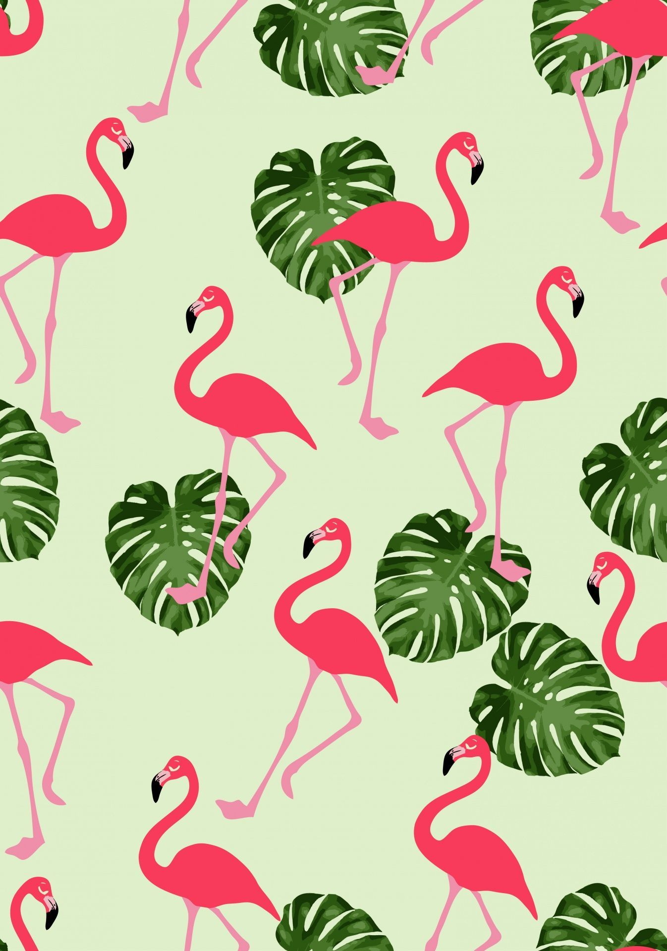  Flamingo Hintergrundbild 1346x1920. Afbeeldingsresultaat voor flamingo wallpaper. Flamingo papel de parede, Papel de parede para iphone, Arte de flamingo